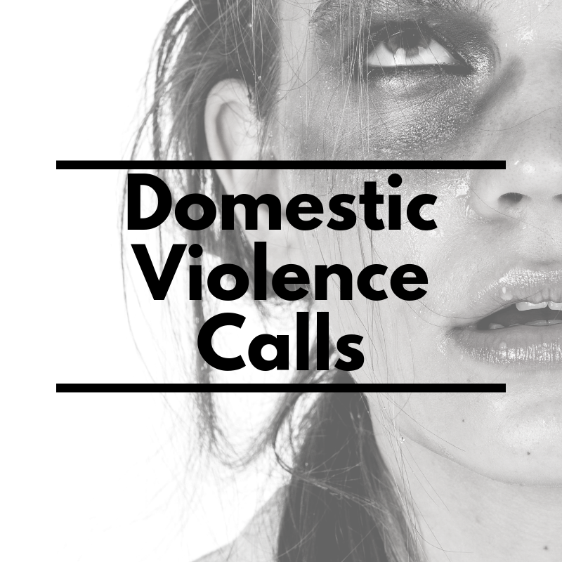 Product image for Domestic Violence
