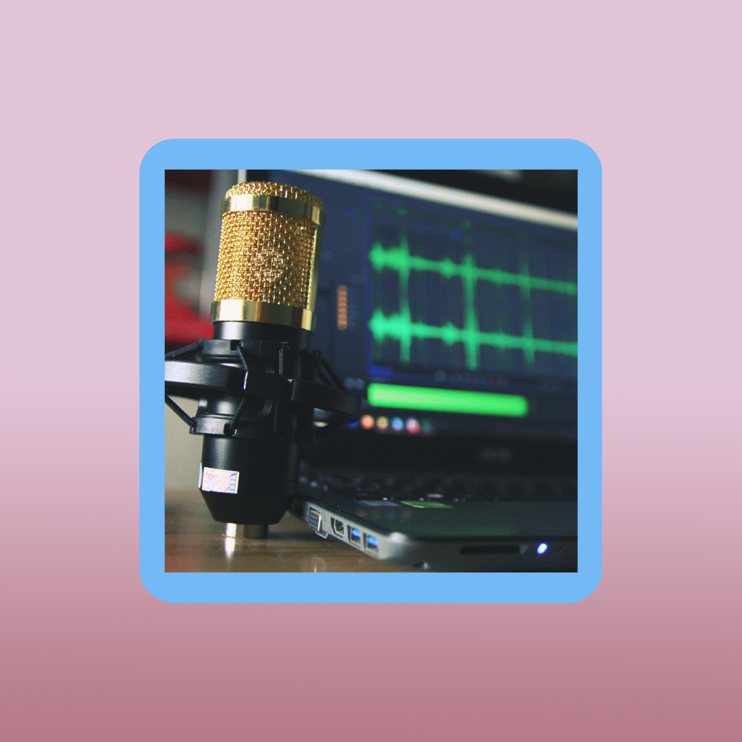 Product image for How to Become a Voice Over Star