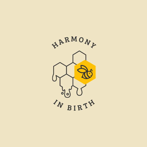 Product image for Birth in Harmony 