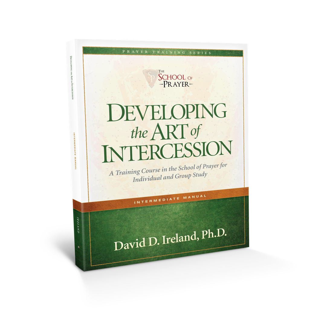 Product image for Developing the Art of Intercession- Intermediate