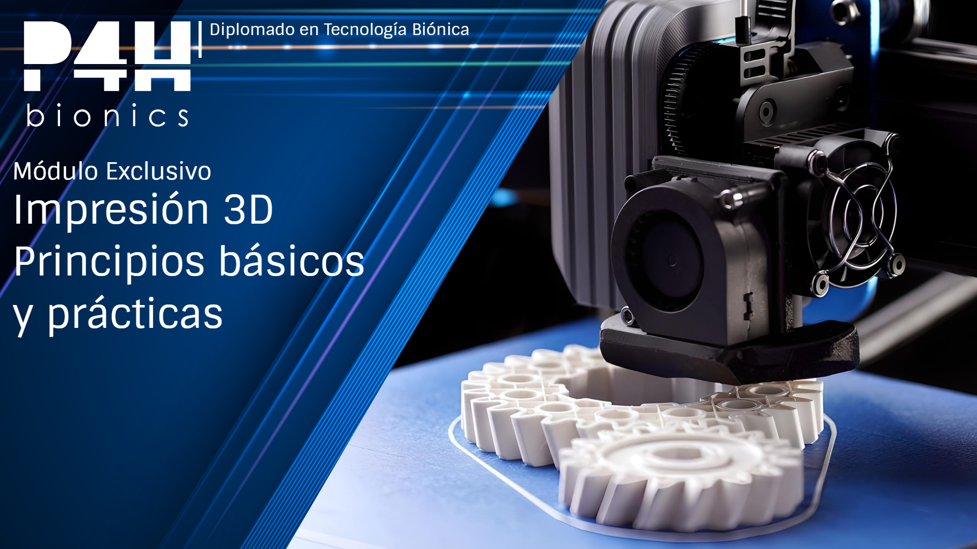 Imagen de producto para (Fase 3.4) Impresión 3D: Principios Básicos y Prácticas Guiadas