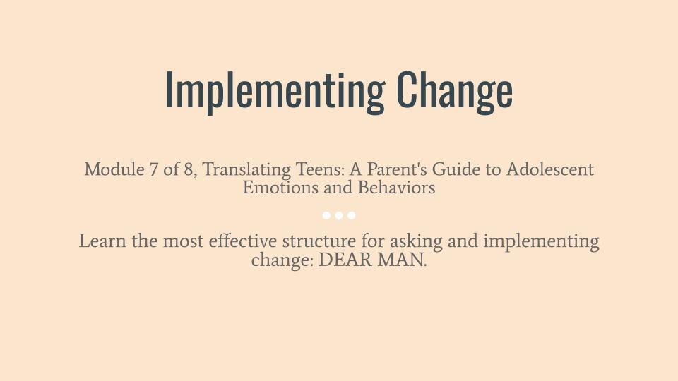 Product image for Implementing Change