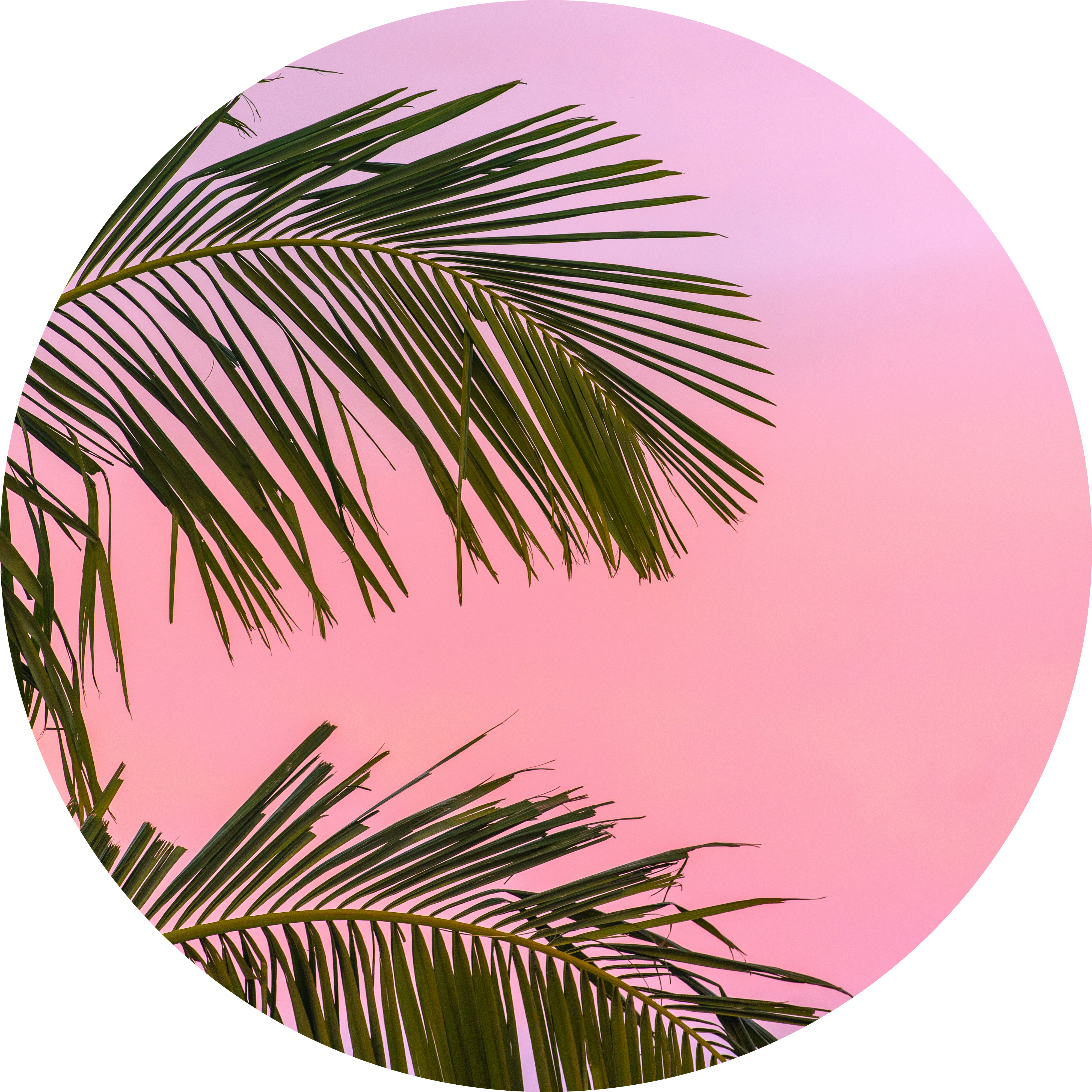Product image for 💌3 Emails - 1:1 Guidance💌