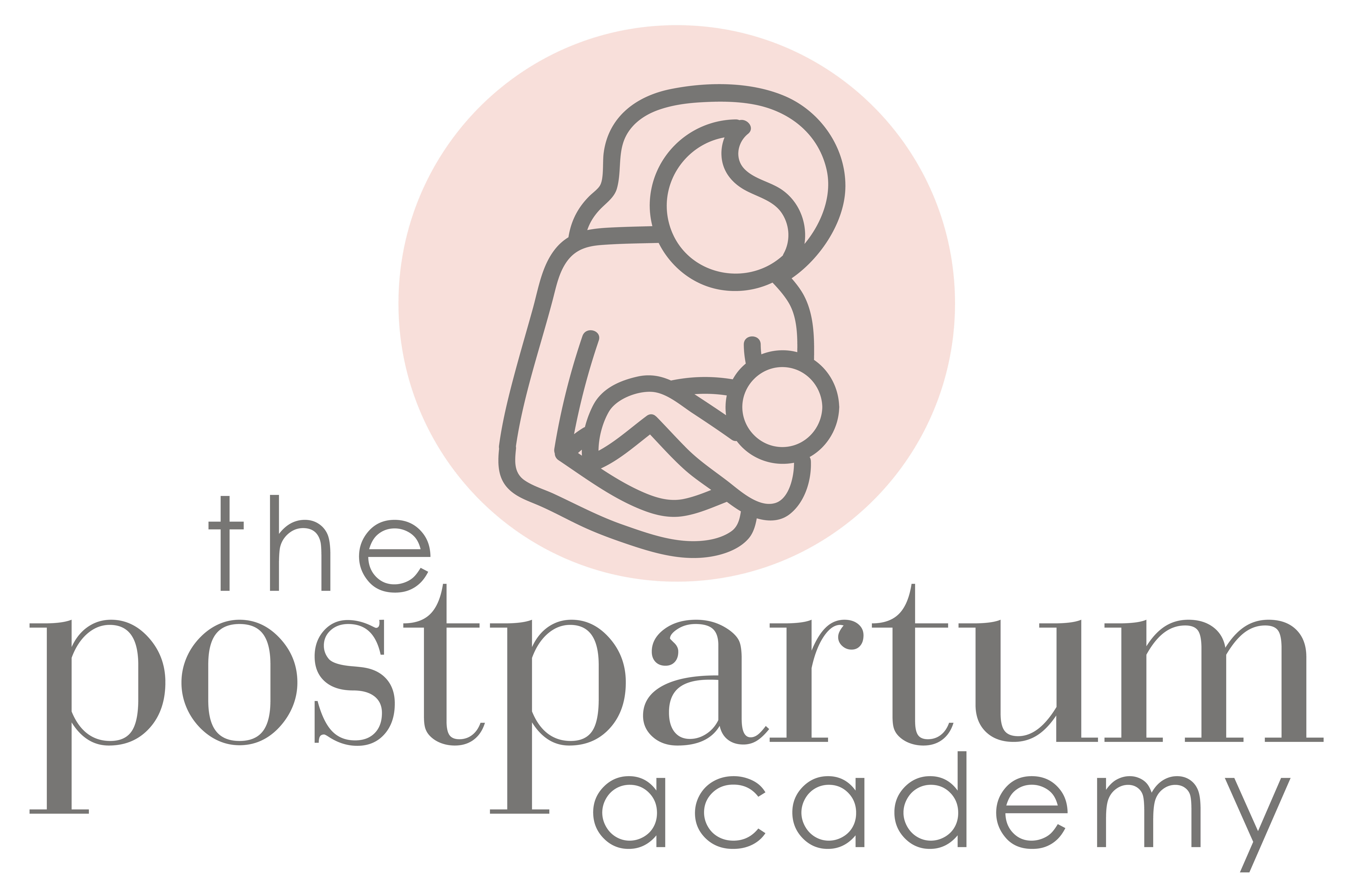 Product image for The Postpartum Academy