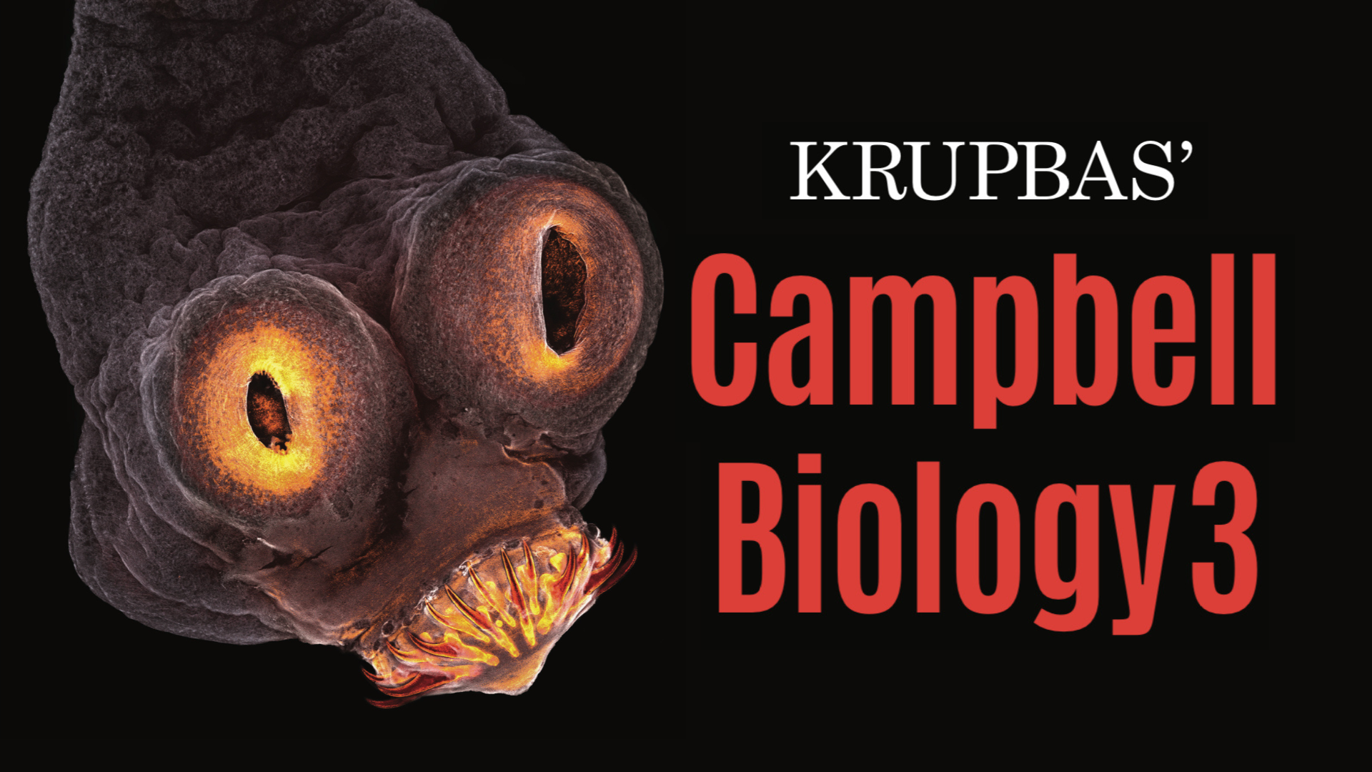 Product image for Campbell Biology 3 Online course (ตลอดชีพ)
