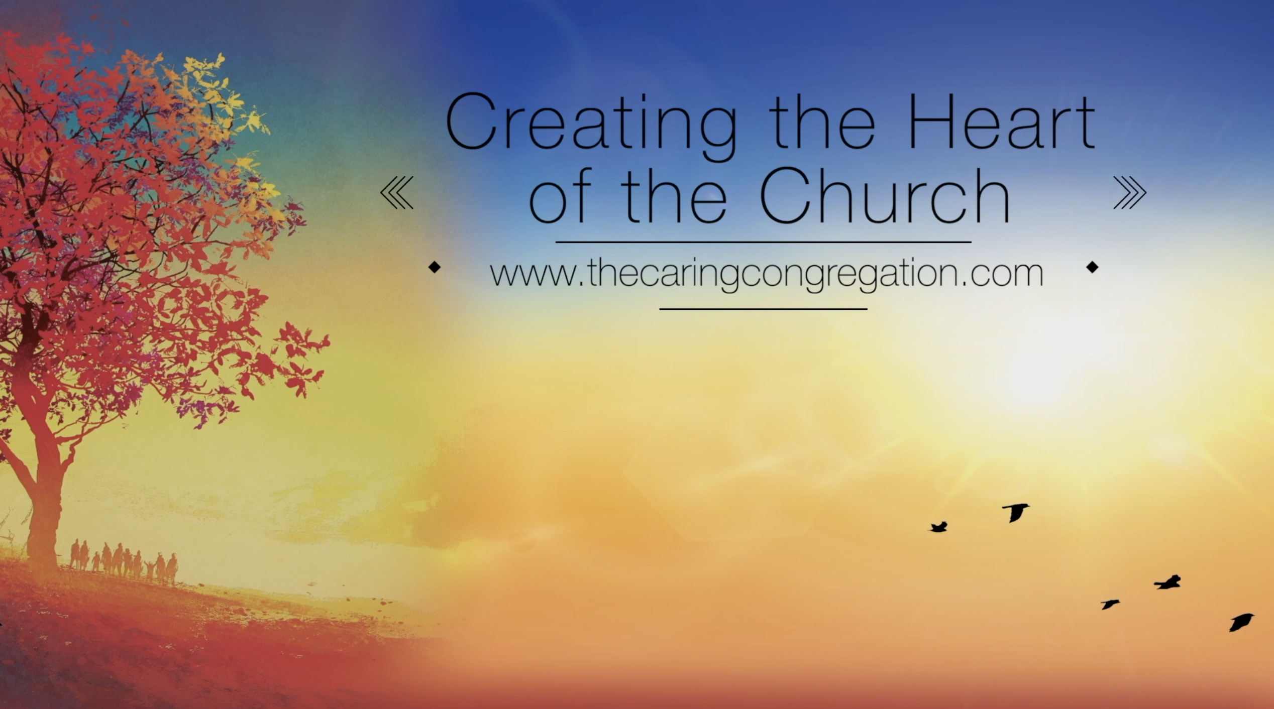 Product image for What is The Caring Congregation?