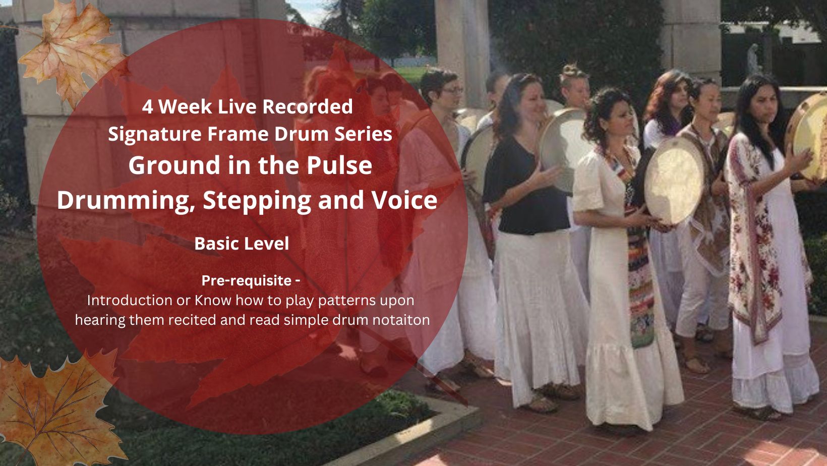 Product image for Ground in the Pulse : Drumming, Stepping and Voice 4 Week Live Recorded Signature Serie