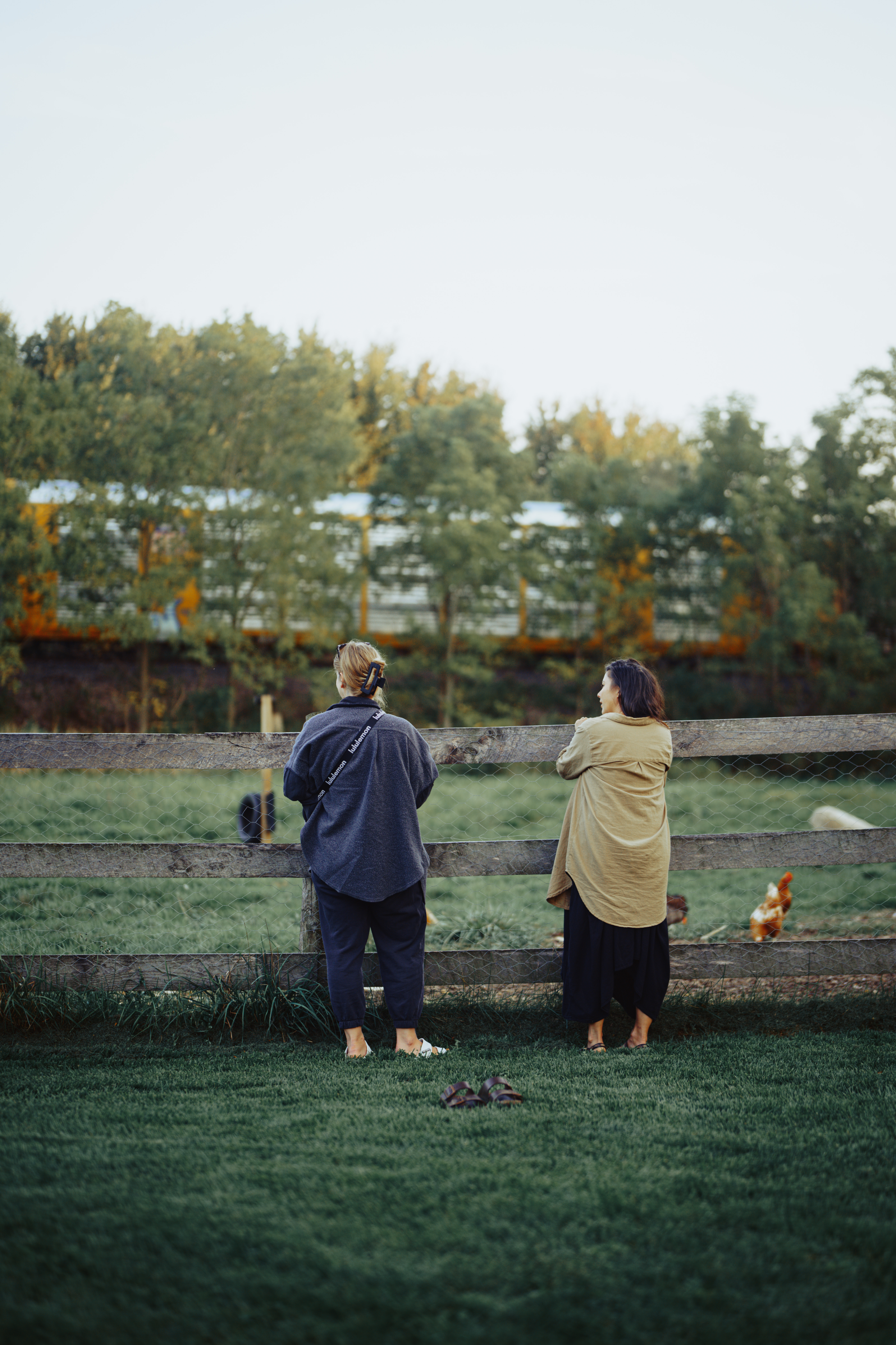 Courses to support you in mastering your mental, emotional, physical, and spiritual well-being.