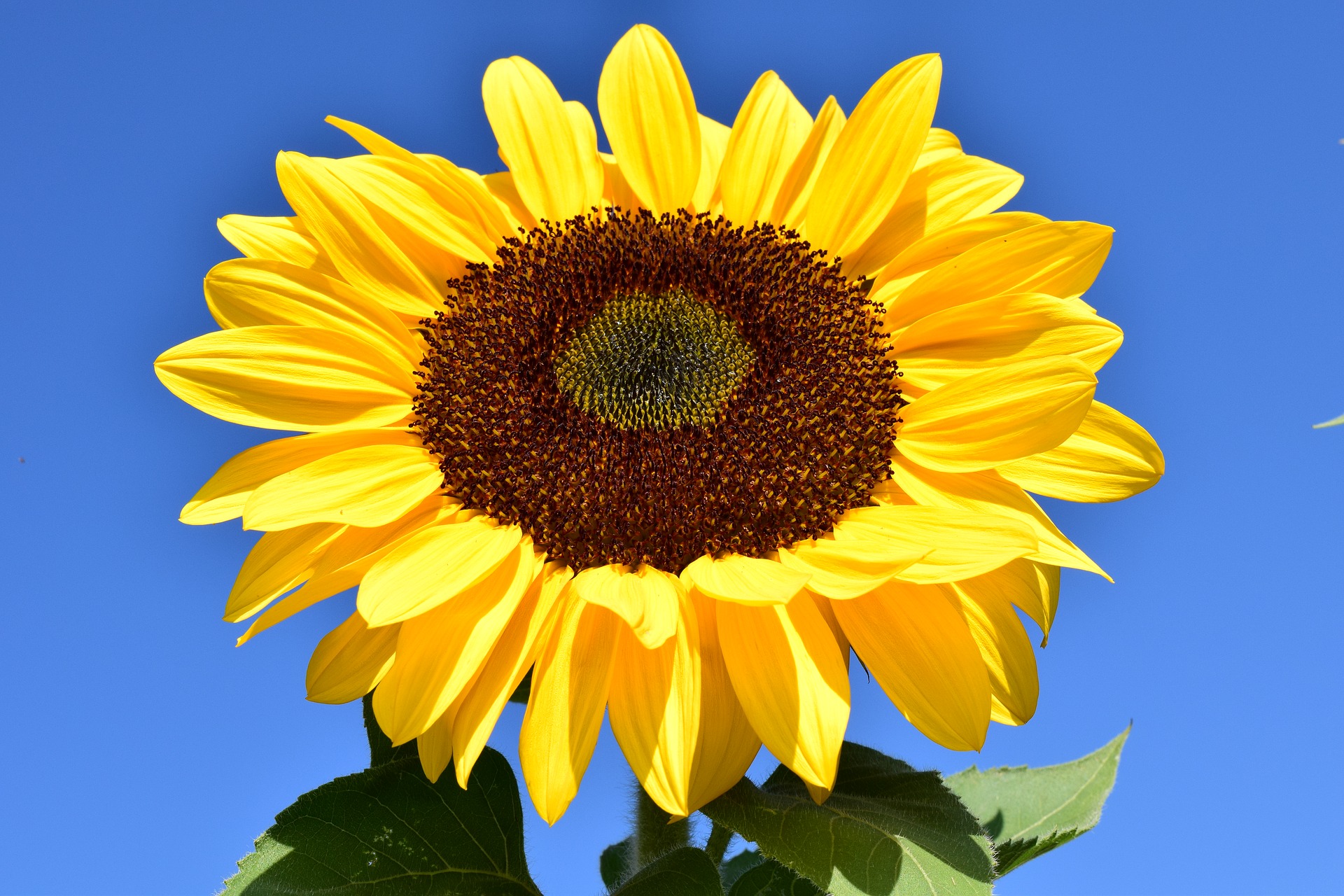 Sorrento Hypnotherapy 