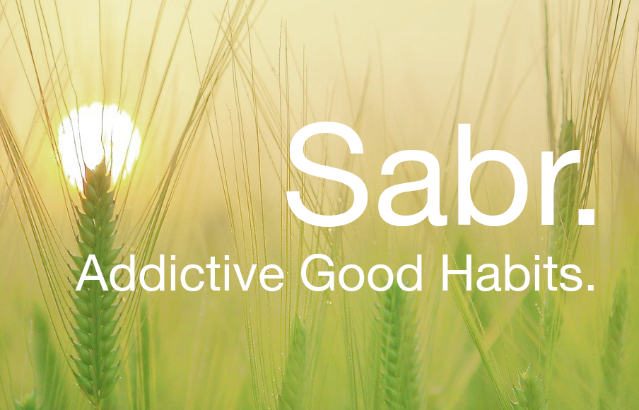 Product image for SABR 