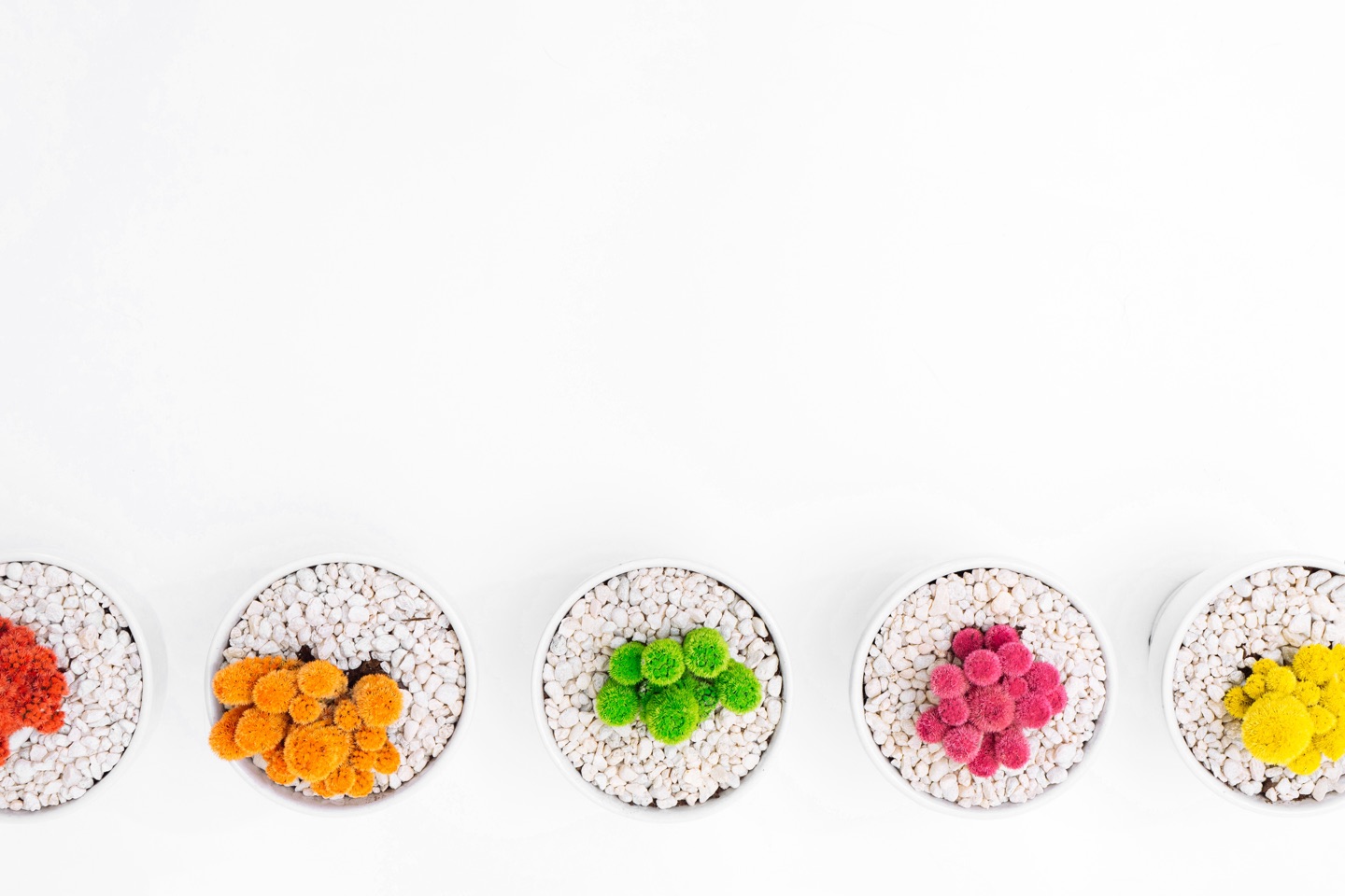 Product image for CFIA     Canadian Food Inspection Agency
