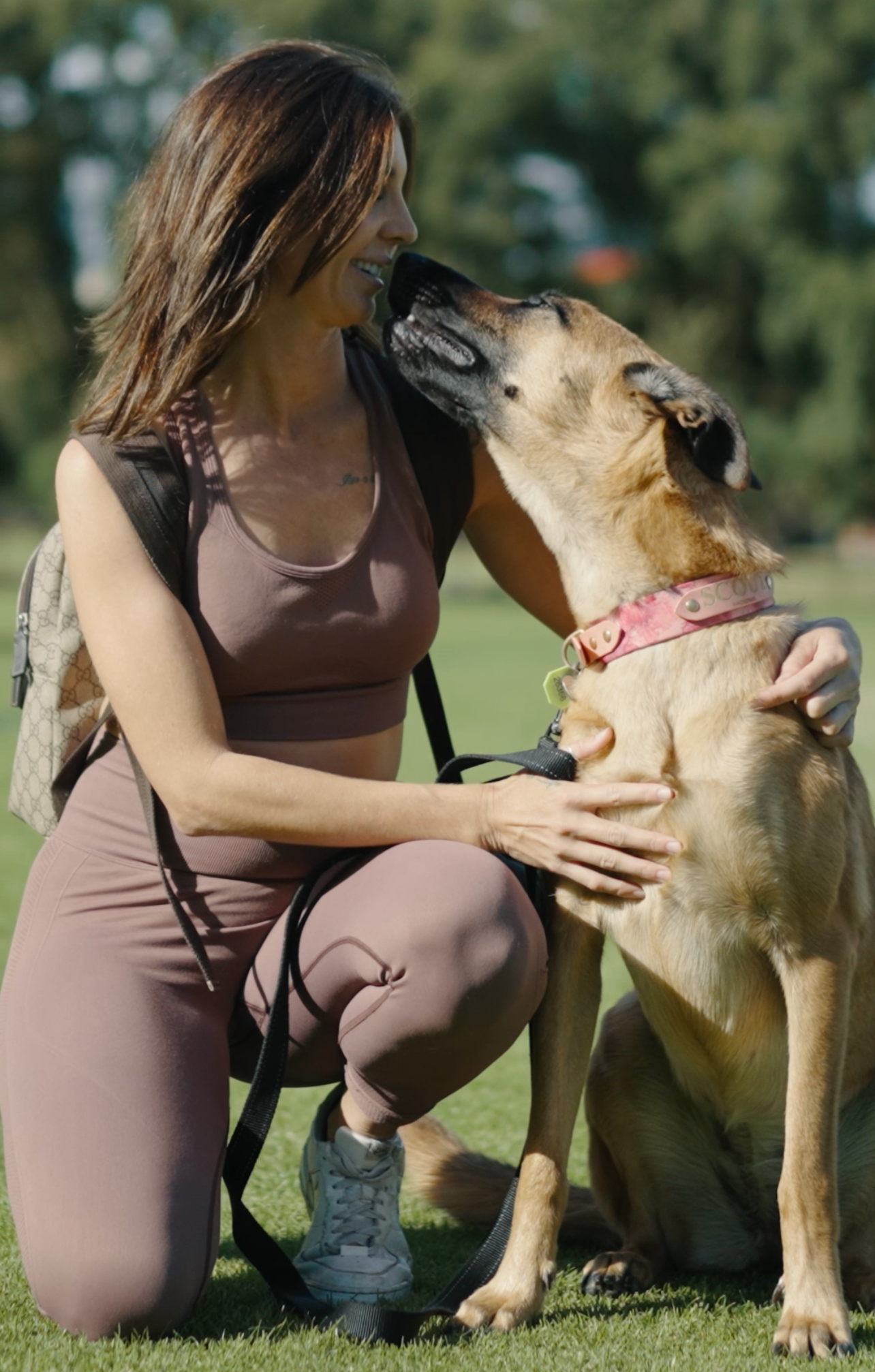 The Ultimate Puppy Guide