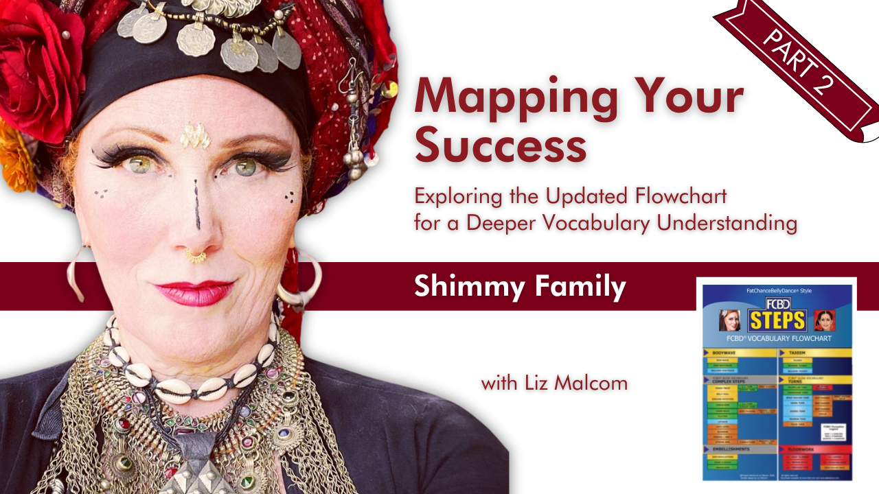 Product image for Mapping Your Success: Shimmy Family