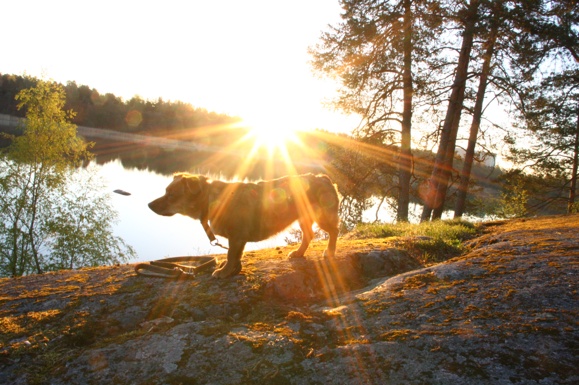 Product image for Itsevarmuuden kasvattaminen