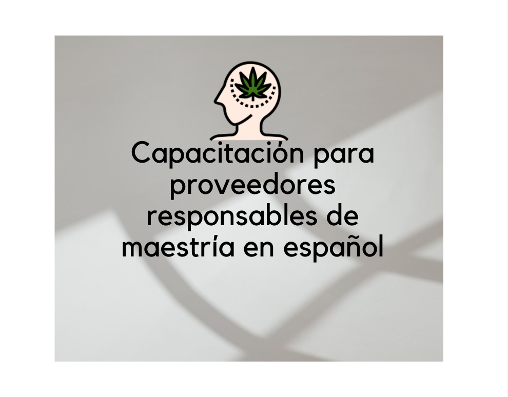 Product image for (1) Capacitación para proveedores responsables de maestría en español