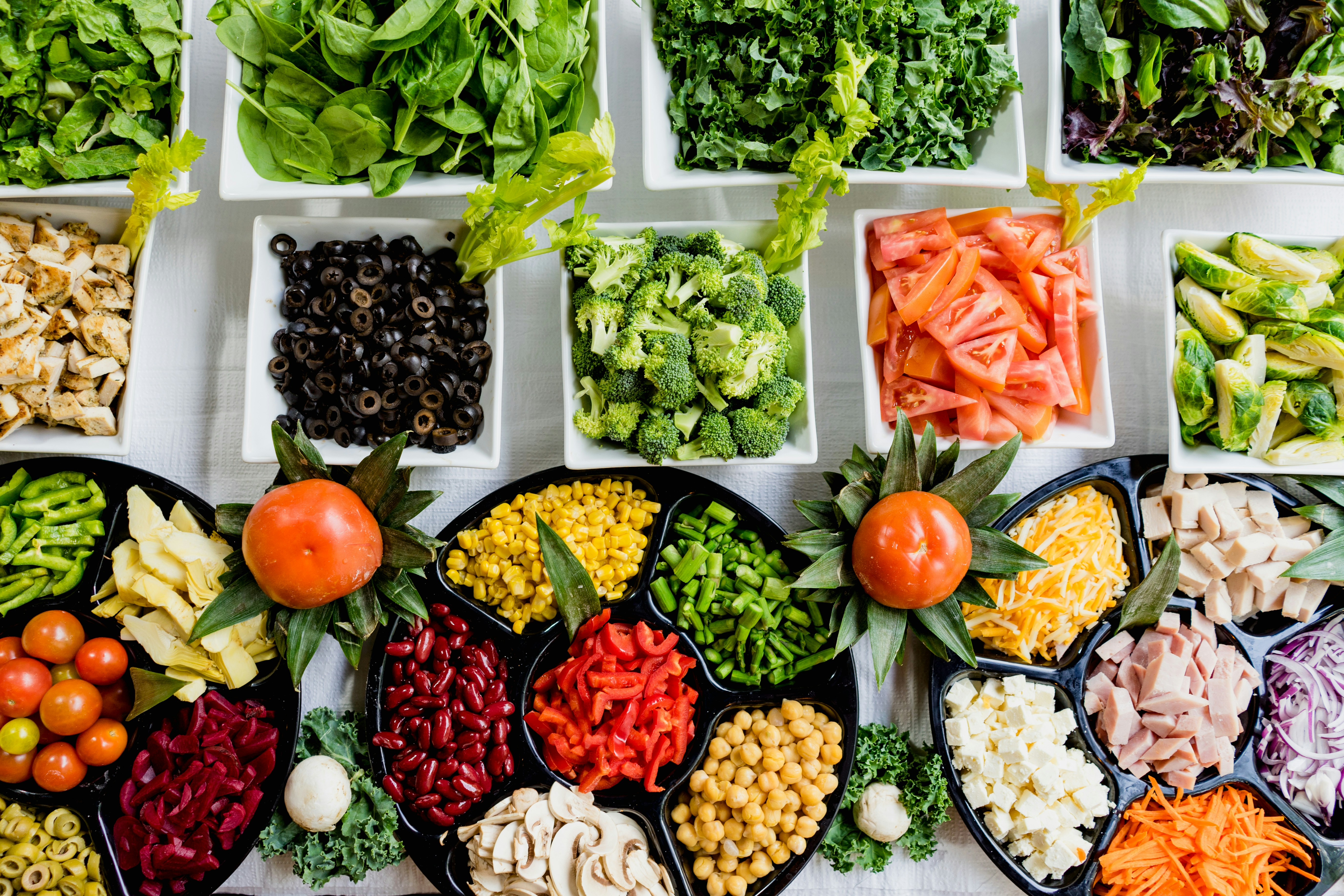 Nutrition Study Guide, Carbohydrates, Fats, Protein, Vitamins and Minerals