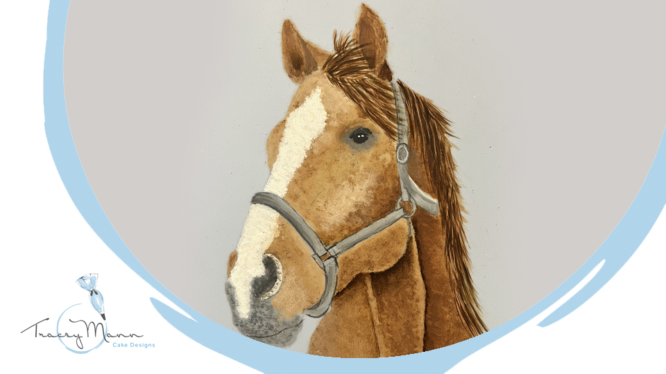 Product image for Painting a horse