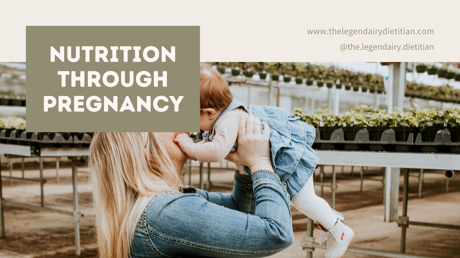 Product image for Pregnancy Nutrition; From Preconception through Postpartum and Breastfeeding