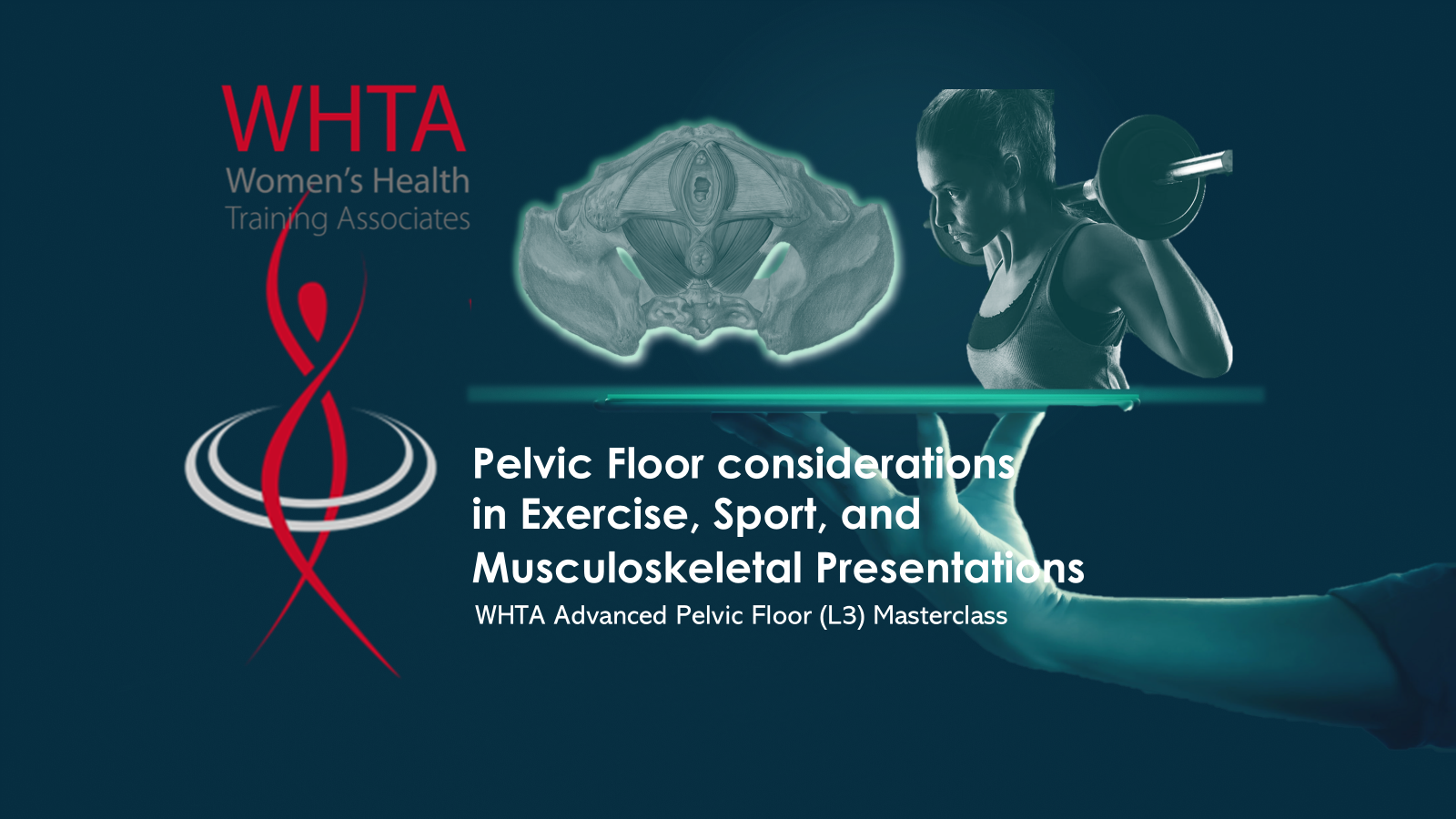 Product image for 2026 Advanced Pelvic Floor - Exercise, Sport and Musculoskeletal Dysfunction Course - 18 hours recorded online with MCQ Exam