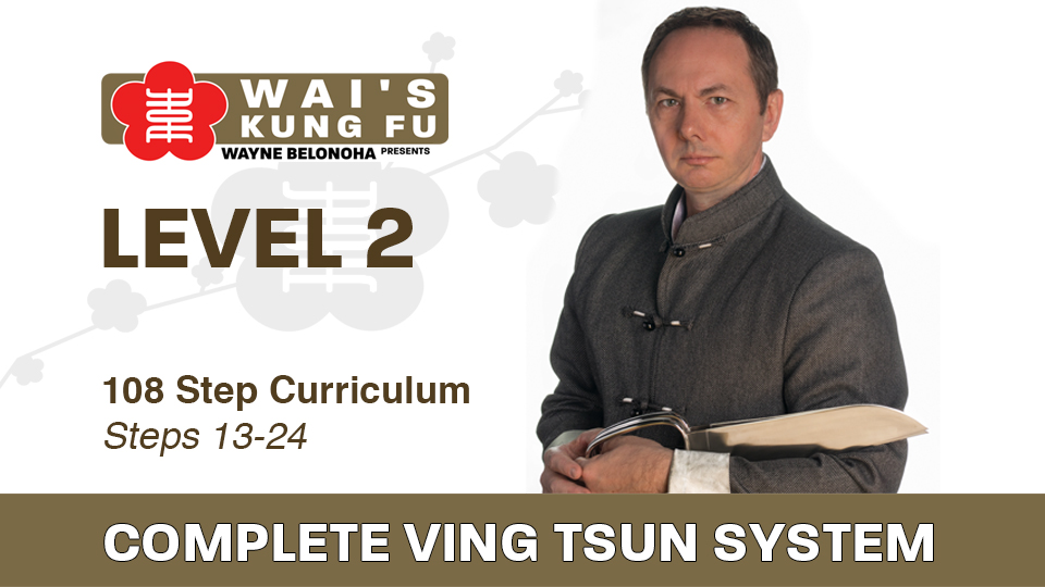 Product image for Sifu Wayne's Complete Ving Tsun System 2