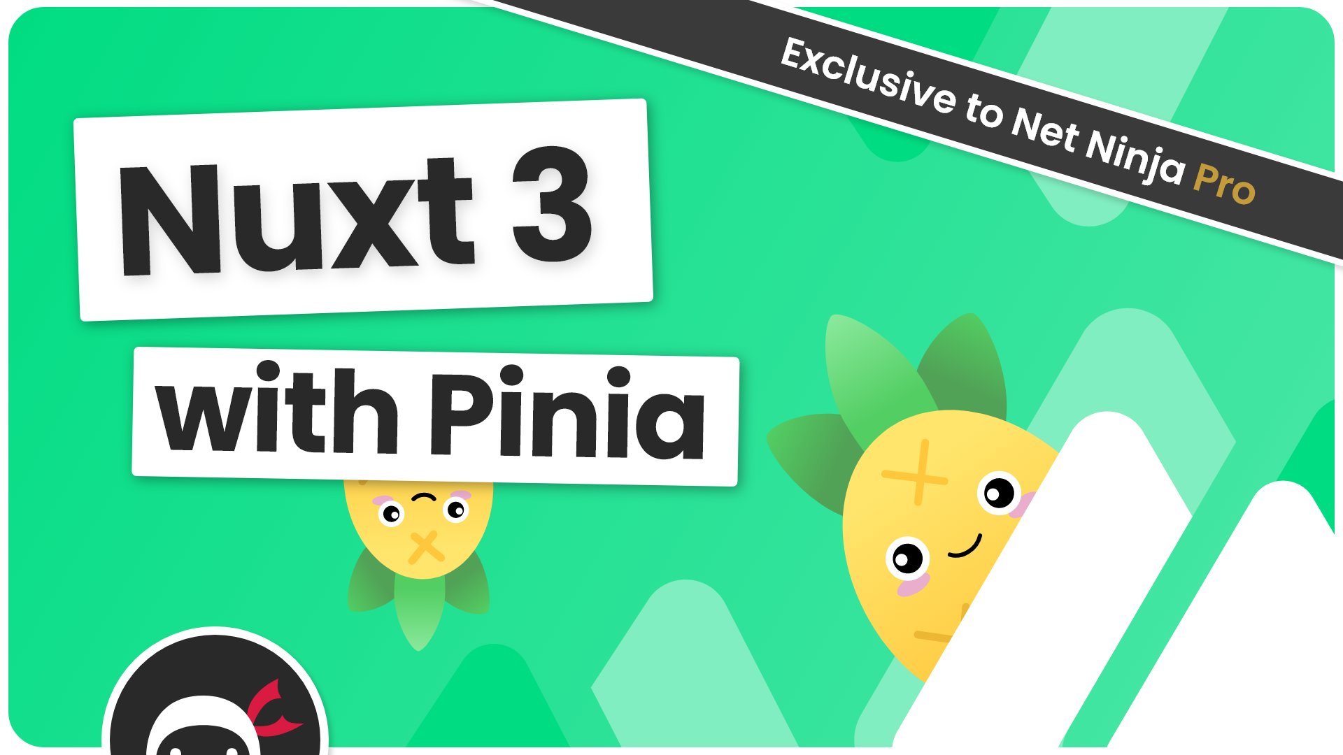 Product image for Nuxt 3 with Pinia