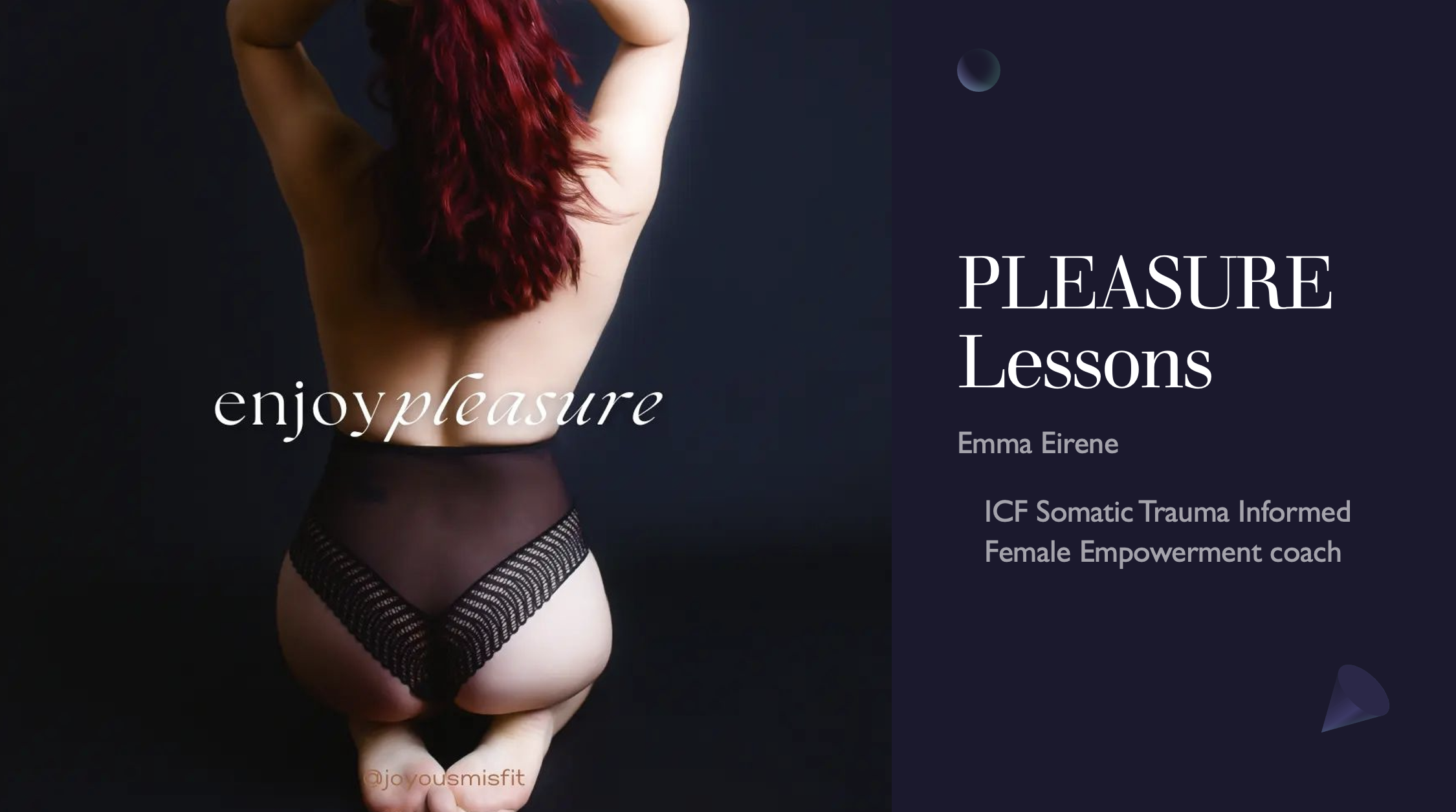 Product image for The Pleasure Lessons