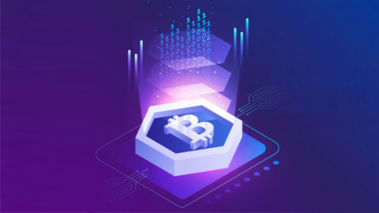 The Complete Blockchain Professional Course | StackSkills