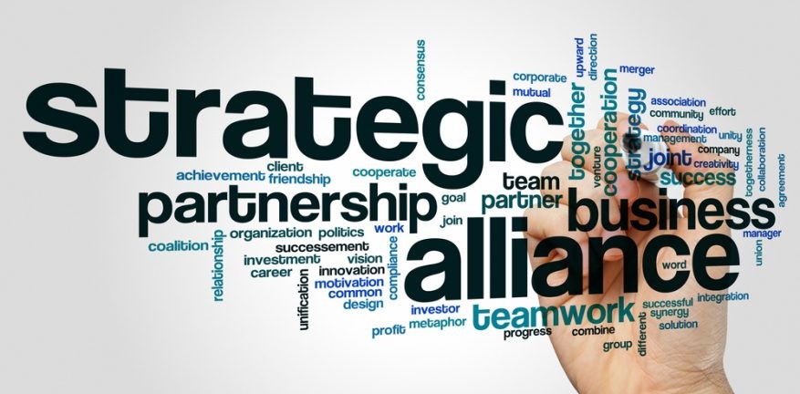 Product image for STRATEGIC ALLIANCE CHALLENGE: 30 Days To Build Partnerships In Elder Care