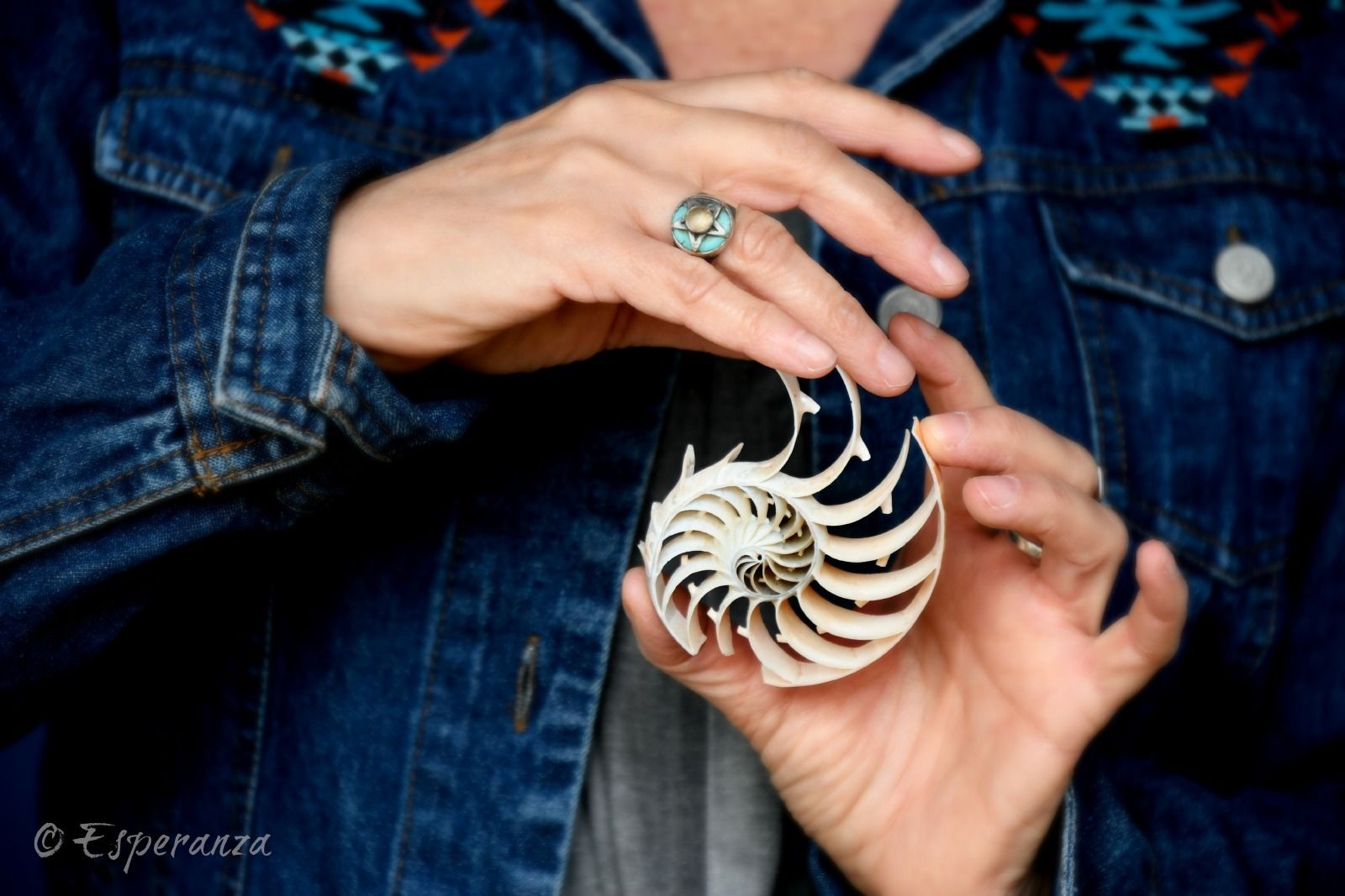 Product image for The Embodied Mystic®  The Foundational Curriculum of Shamanic Psychotherapy  Includes 12 New Mexico Ethics CEUs
