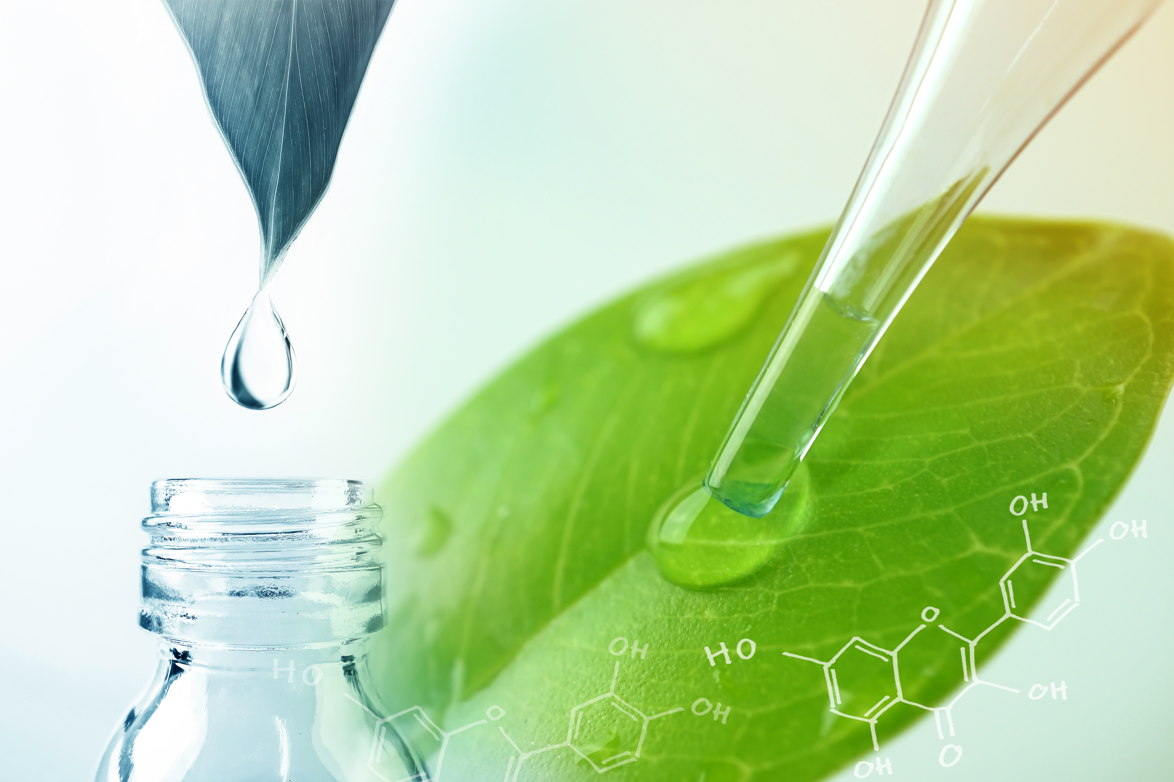 Product image for Perfumería de Técnica Mixta