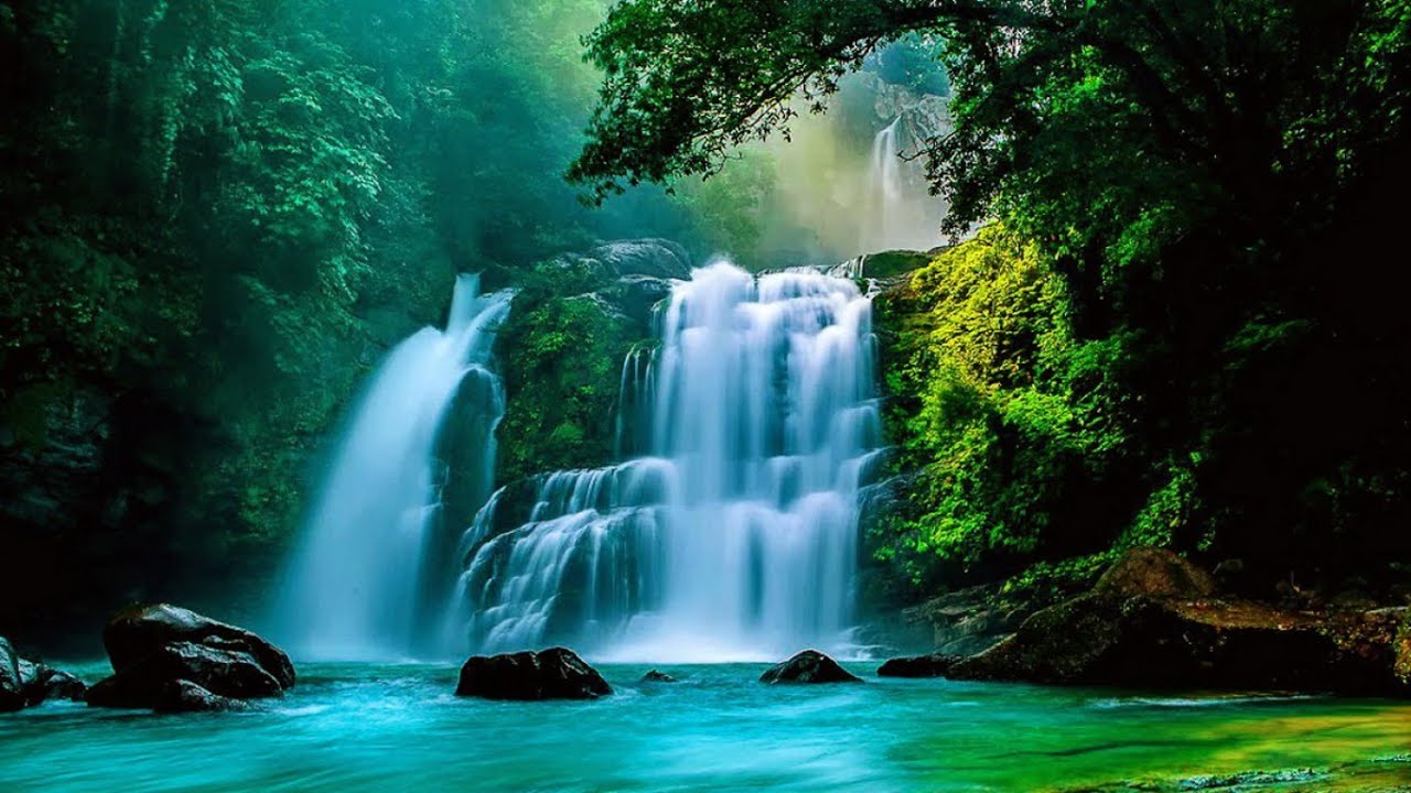 Natural Movement Retreat