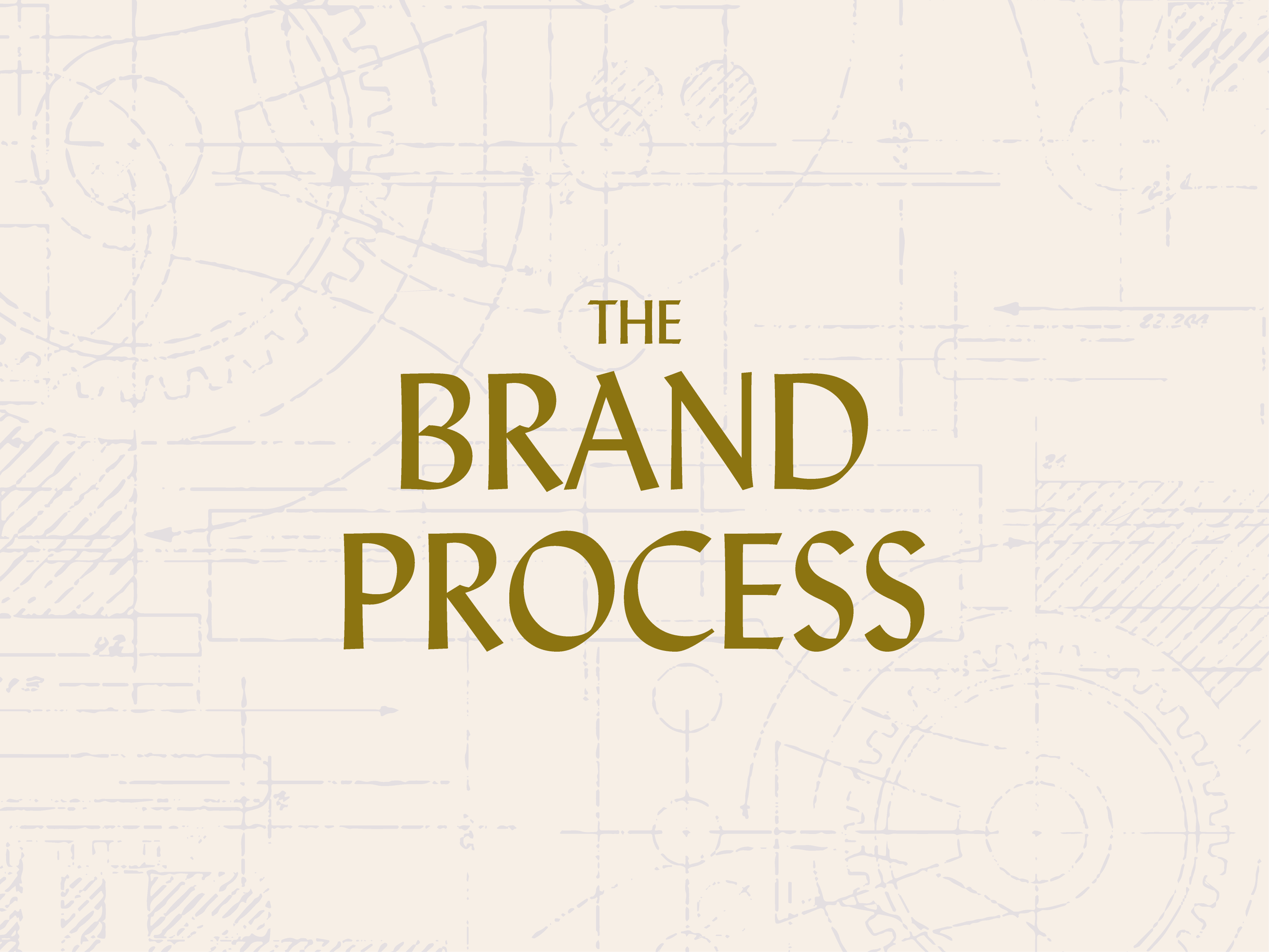 Product image for The Brand Process