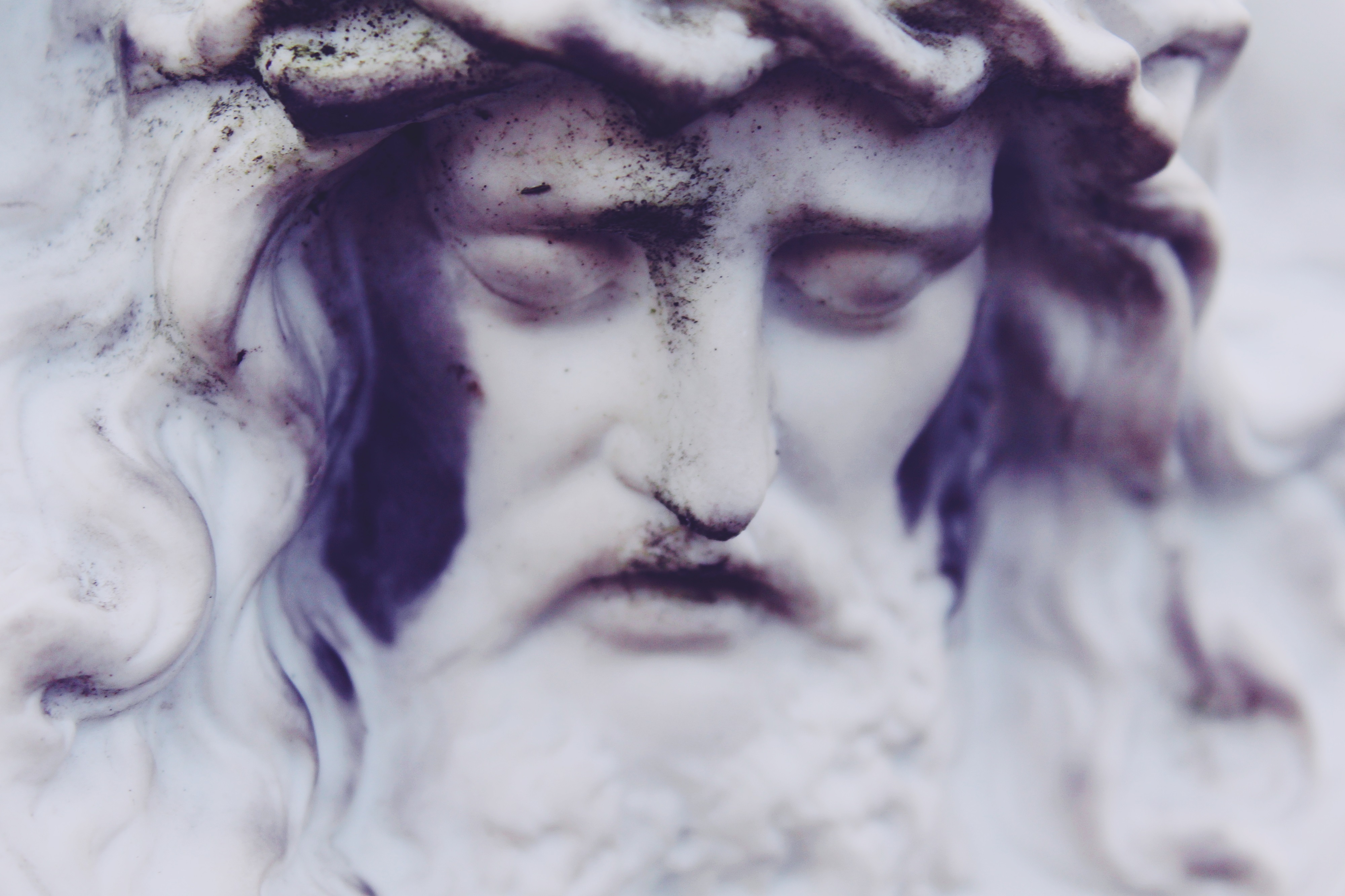 Product image for What Did Jesus Look Like? The Faces of Christ in Art and Relics.