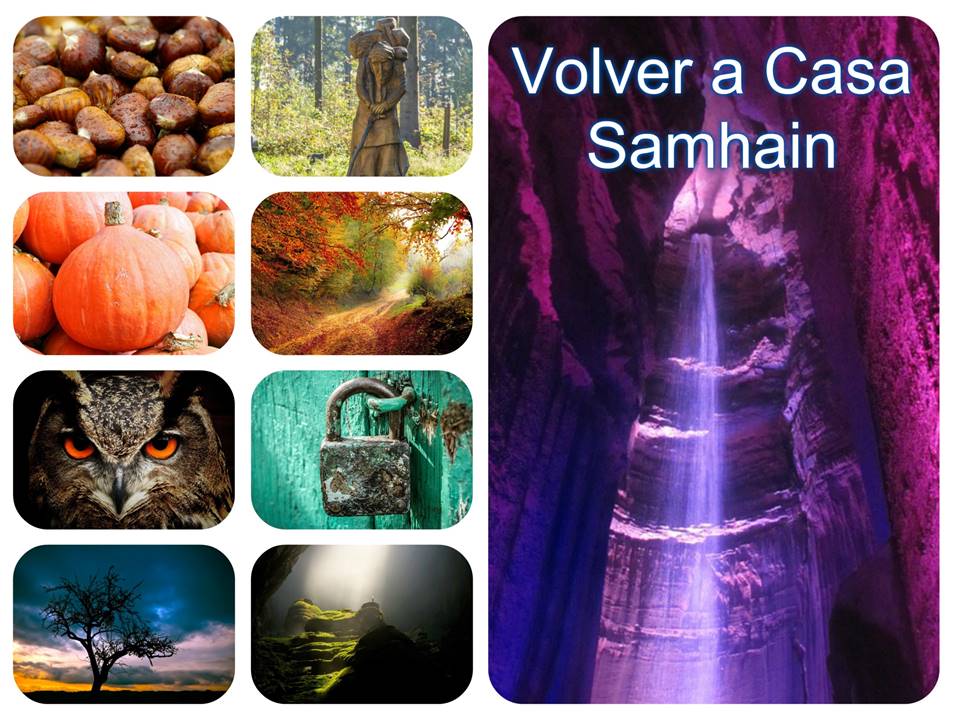 Product image for Arquetipo Femenino: Sabia/Bruja 