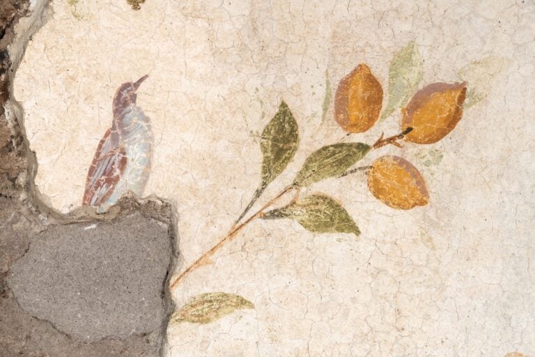 Product image for "The Domus Tiberiana Reopened"