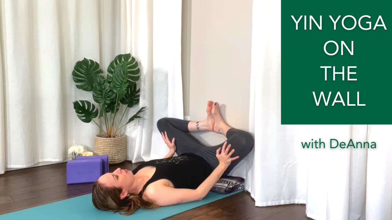 Product image for Yin Yoga On the Wall
