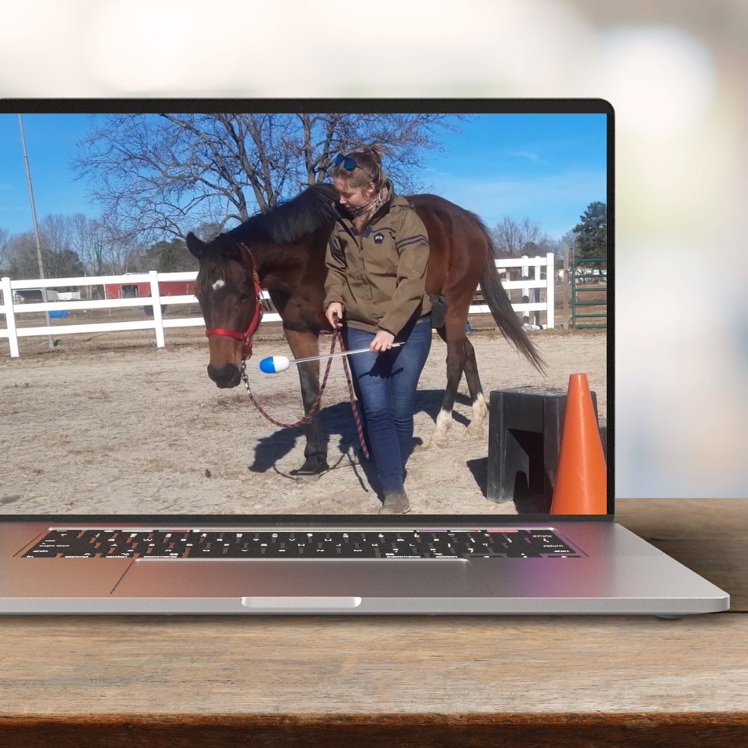 Product image for Personalised Video Analysis