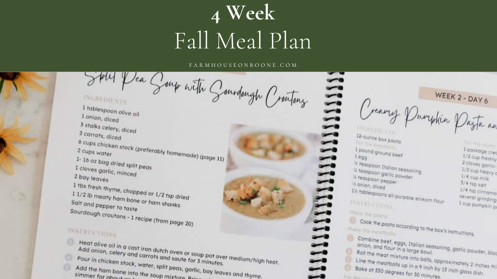 Product image for 4 Week Fall Meal Plan
