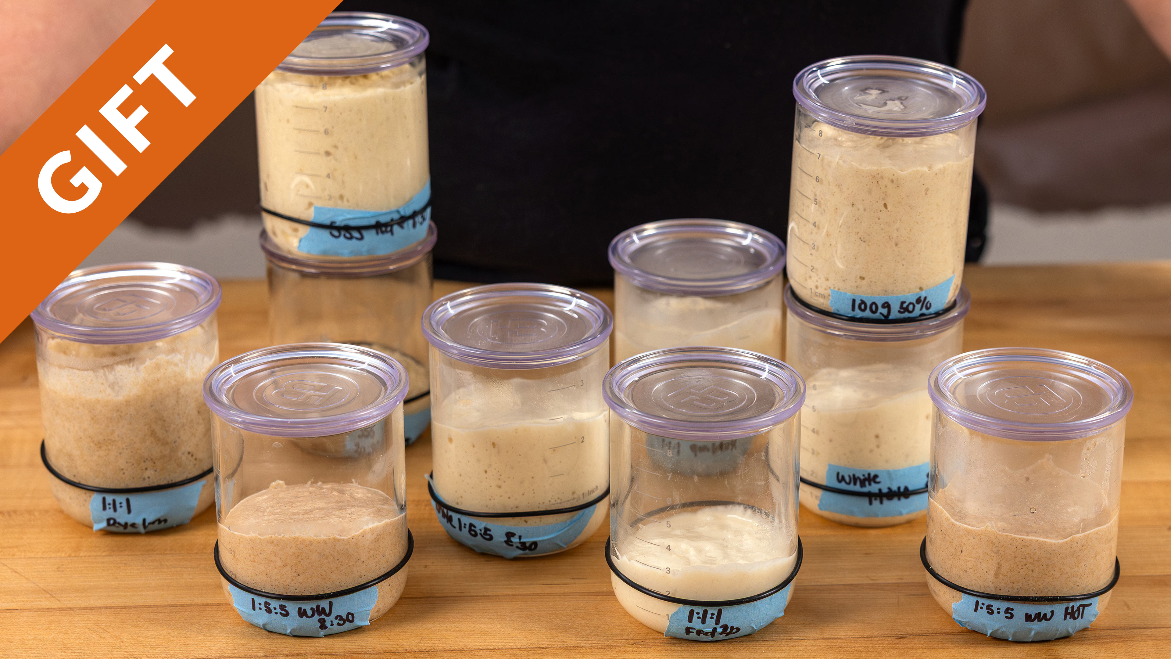 Product image for Sourdough Starter Mini Course Gift