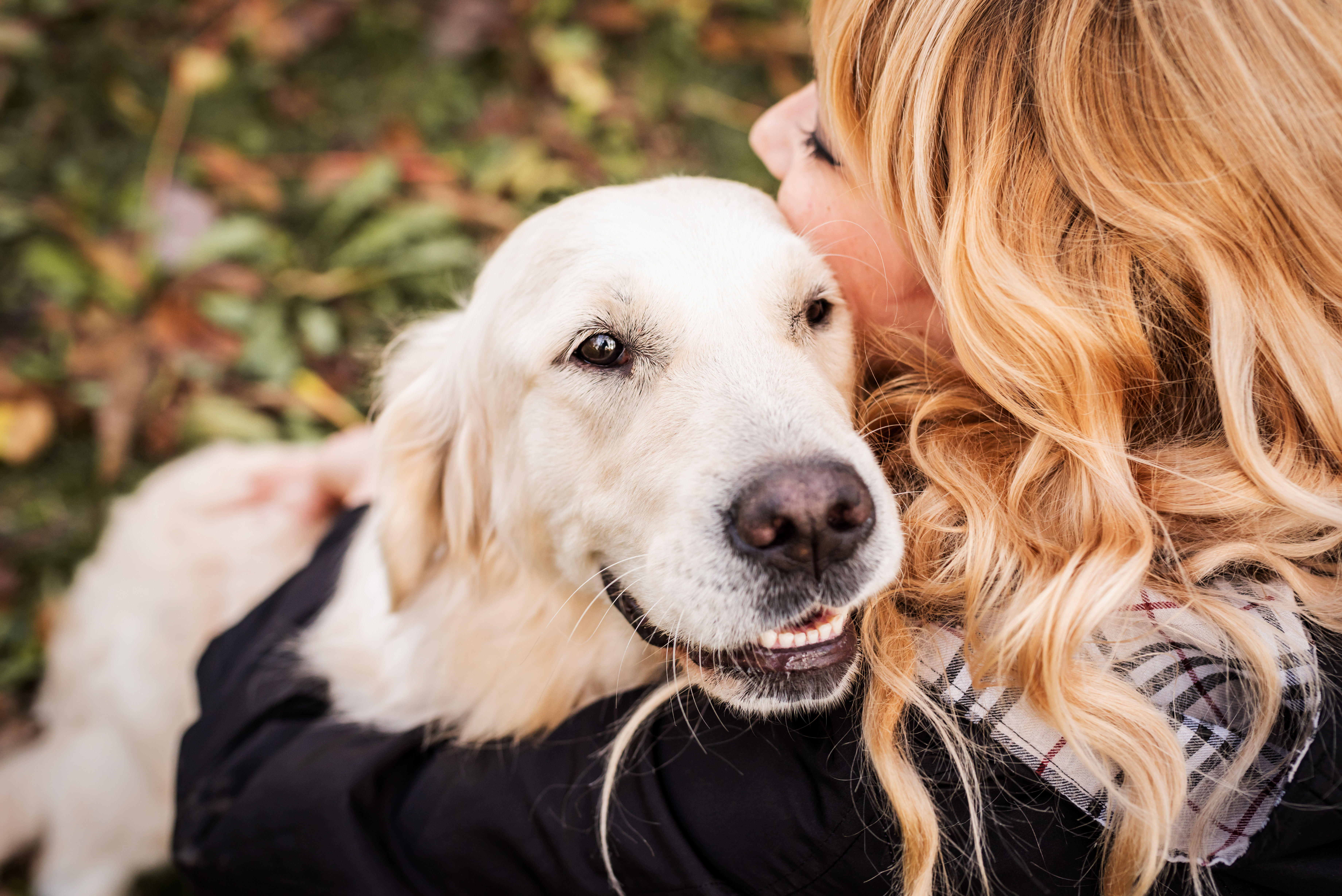 Product image for Certified Pet Care Professional 