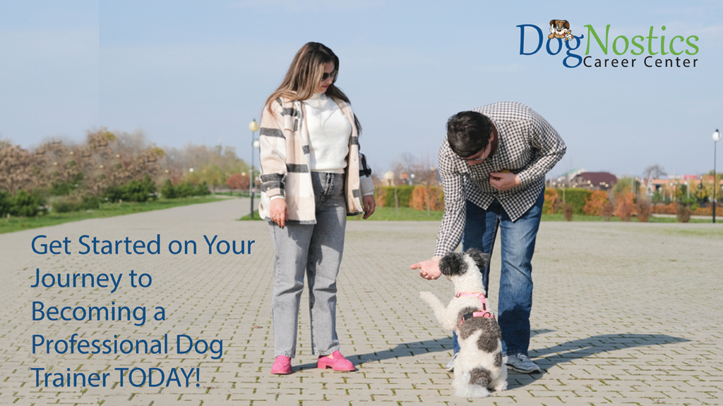 Product image for Gain Your Dog Training Apprentice Course Certificate