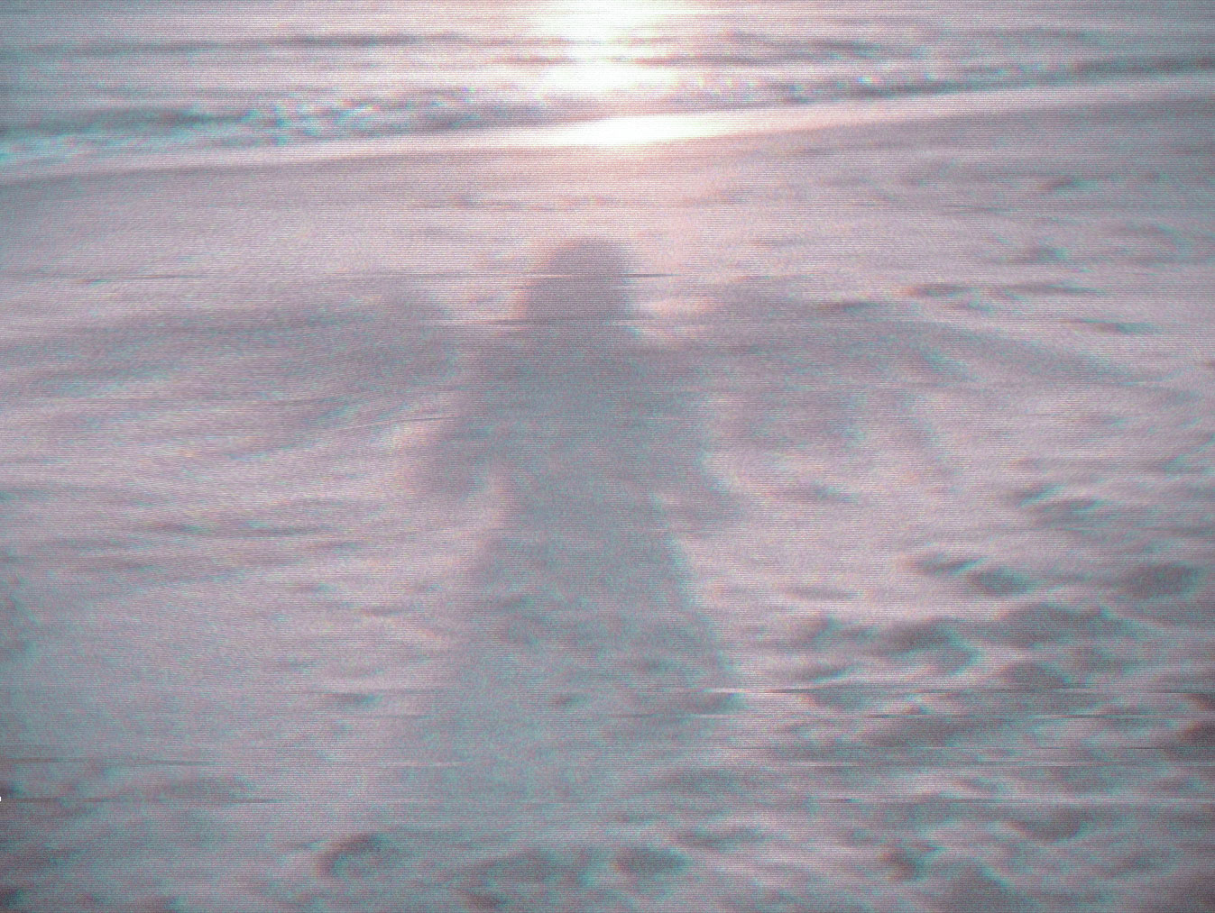 Product image for Shadow Integration