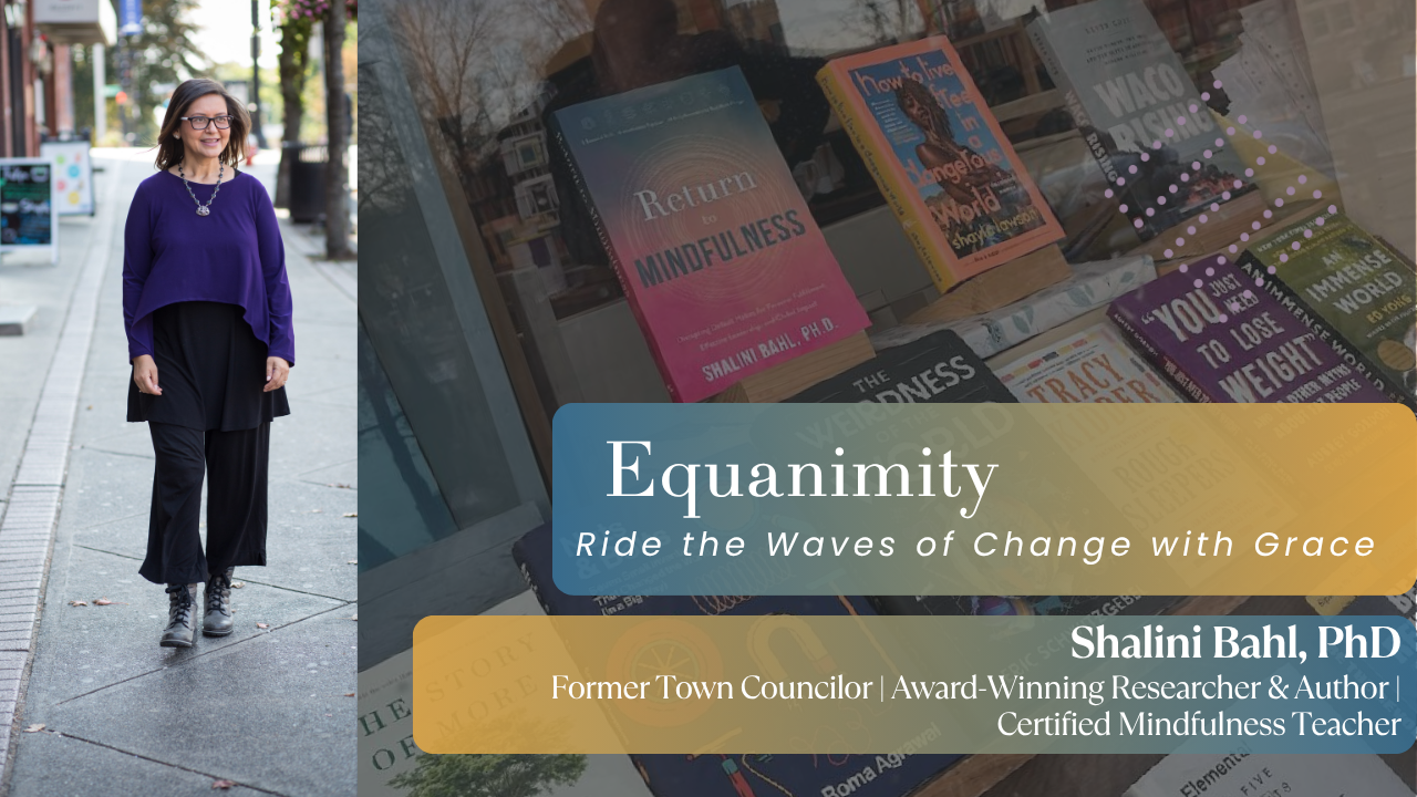 Product image for Equanimity: The Wisdom to Know What's Needed