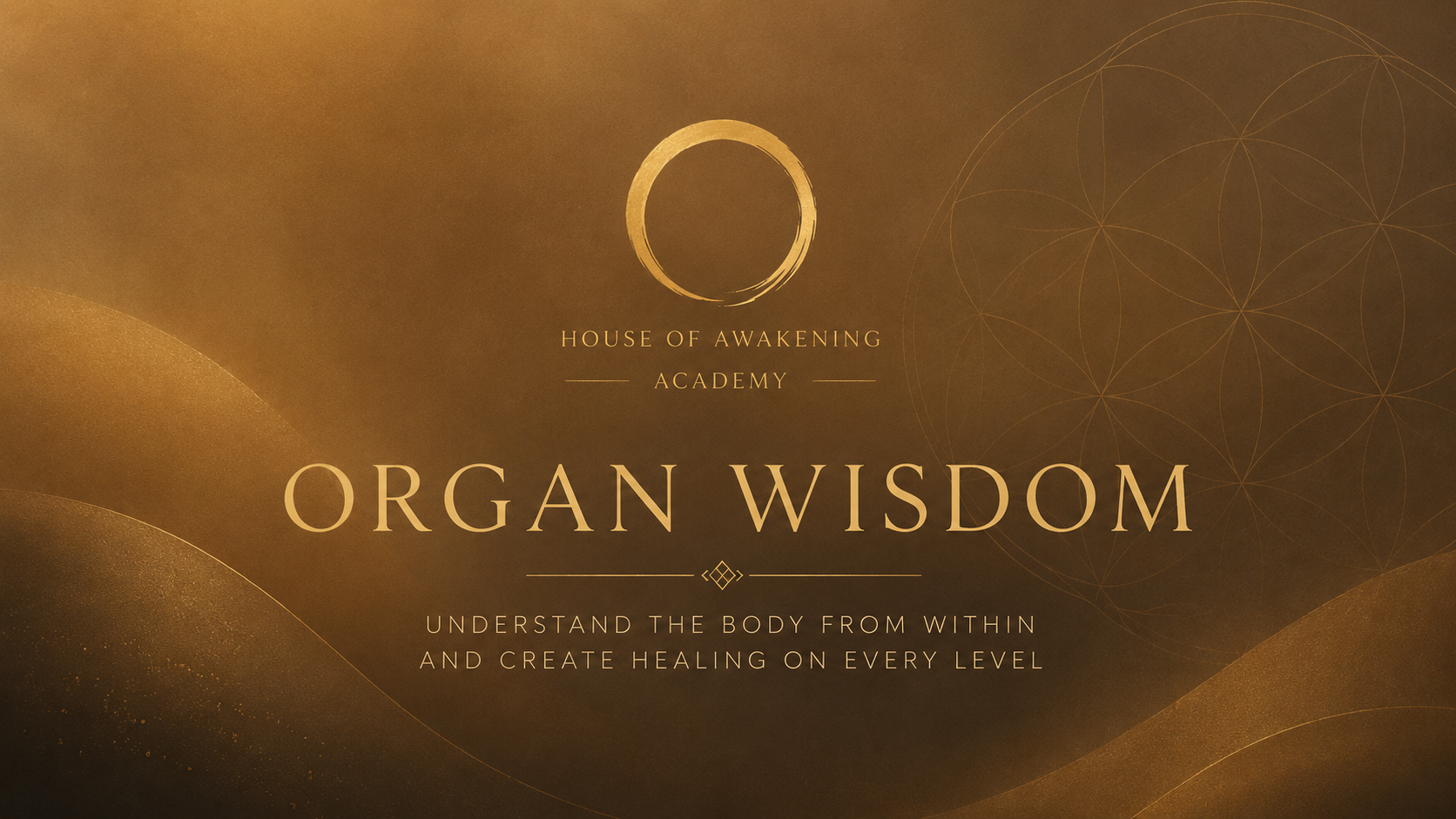 Product image for Organ Wisdom