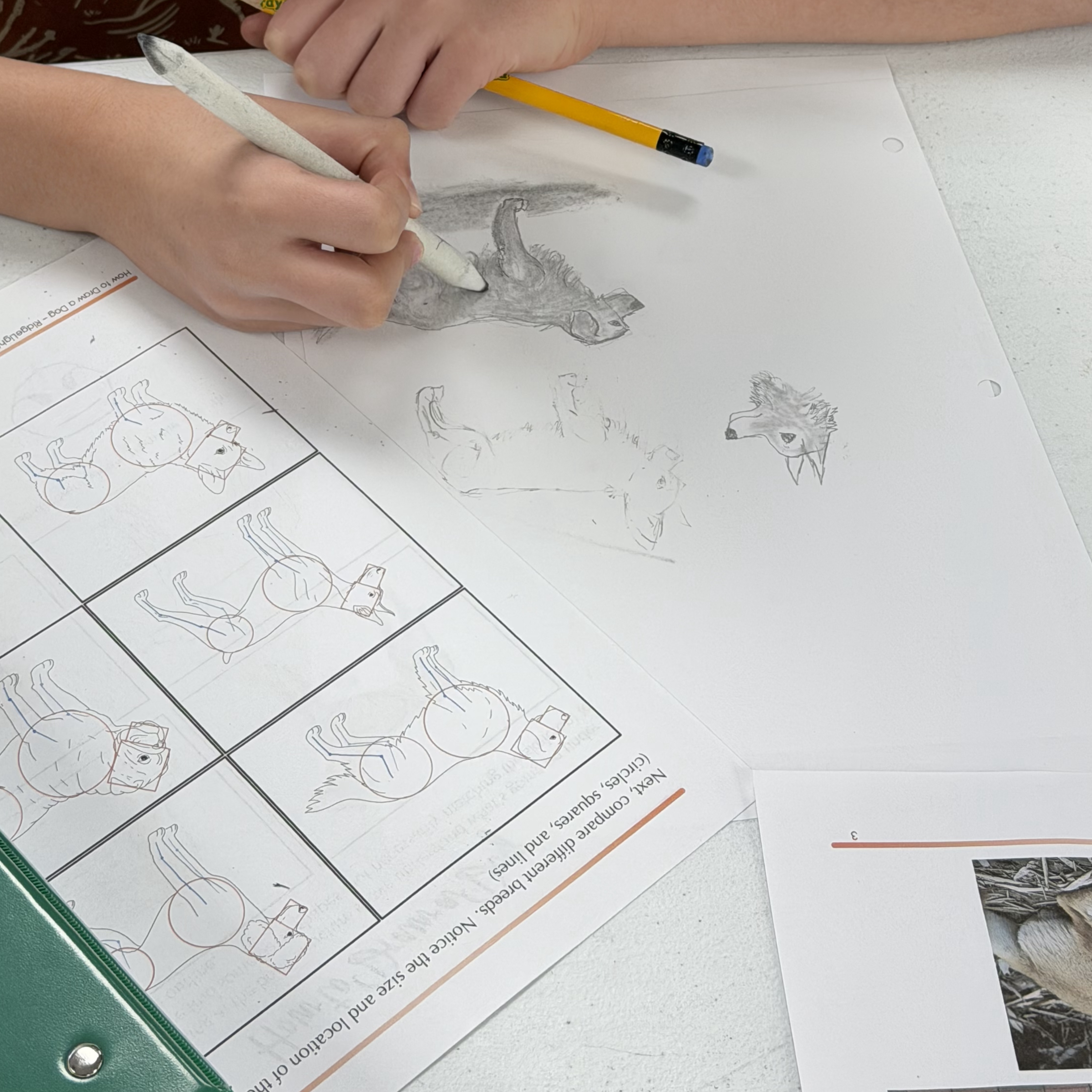 Product image for Anyone Can Learn to Draw