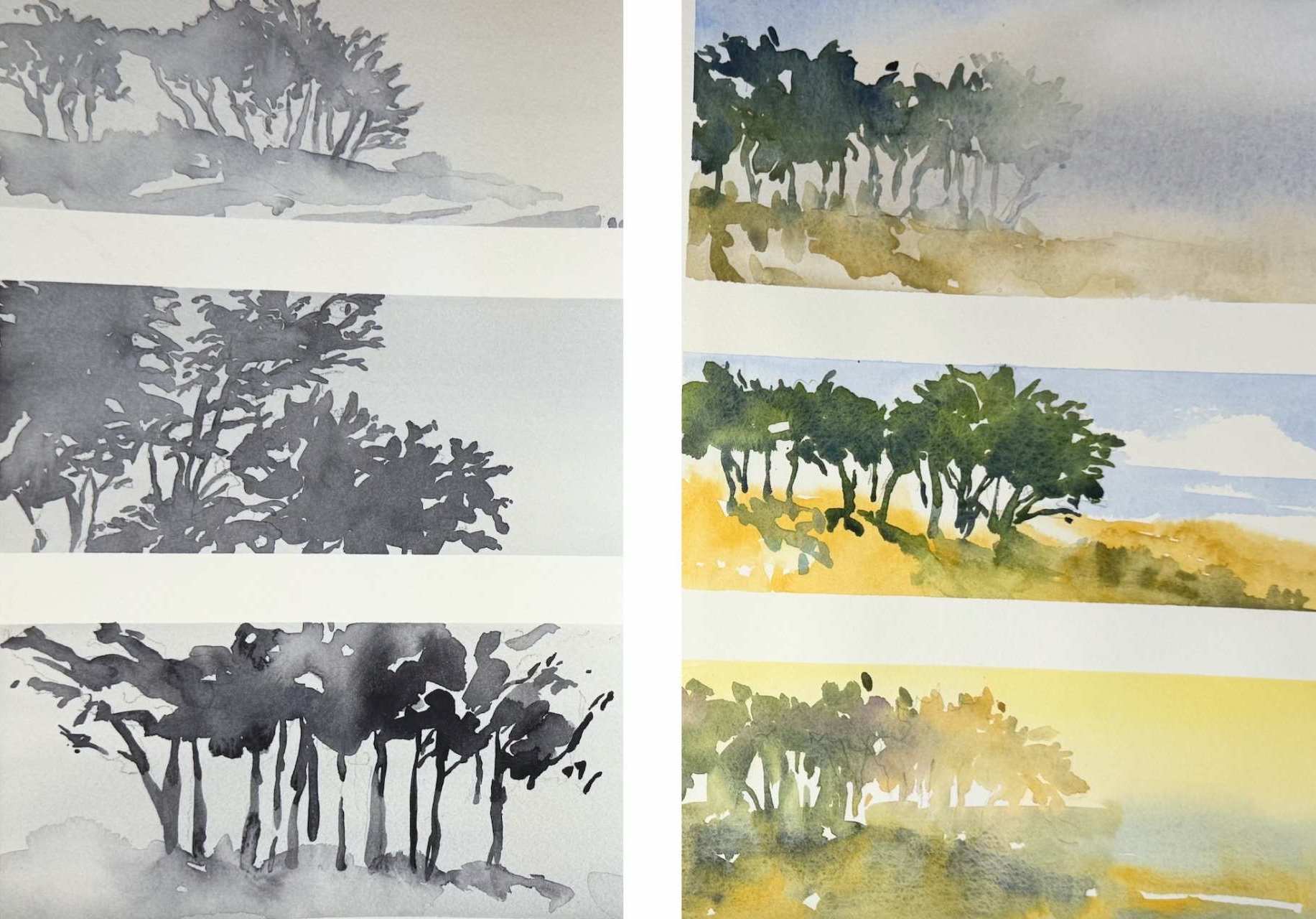 Product image for Trees & Light