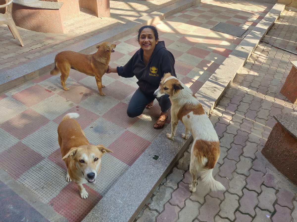 Sindhoor with free-living dogs