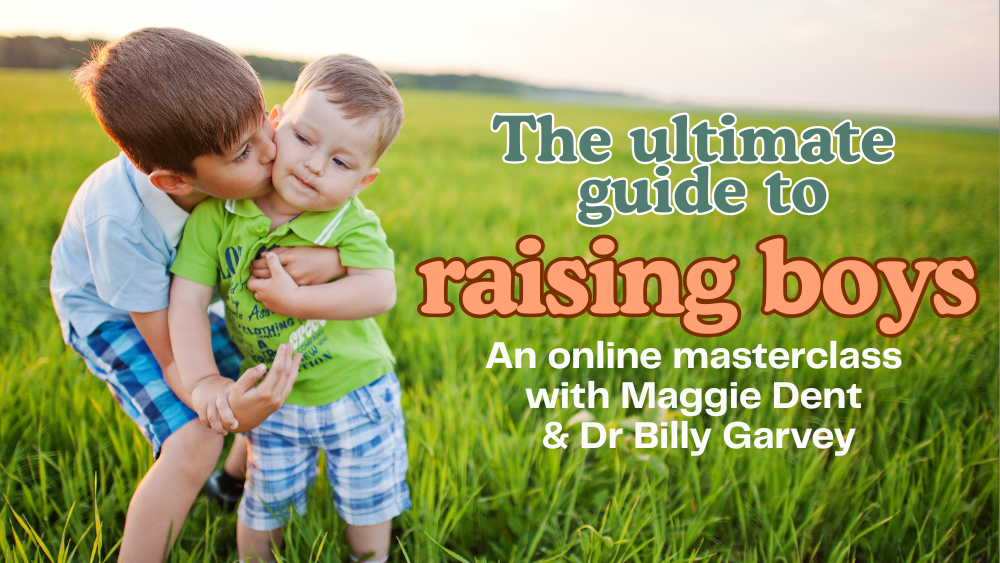 Product image for The Ultimate Guide to Raising Boys