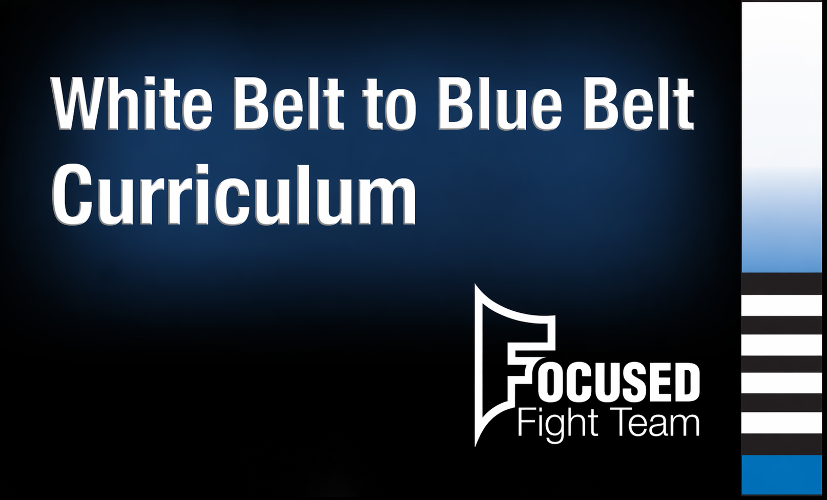 Product image for BJJ - White Belt to Blue Belt Curriculum
