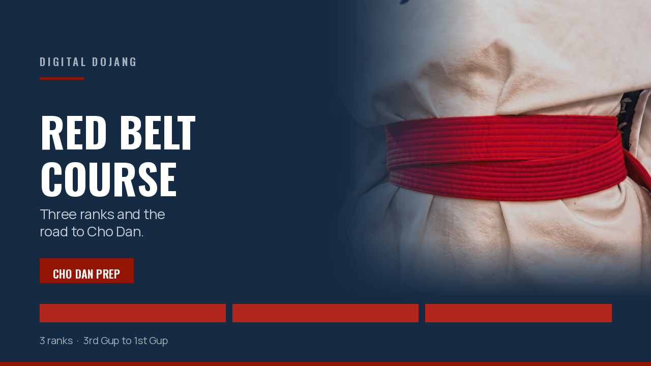 Product image for Red Belt Course — Black Belt Preparation